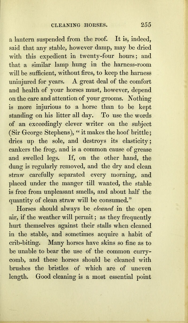 a lantern suspended from the roof. It is, indeed, said that any stable, however damp, may be dried with this expedient in twenty-four hours; and that a similar lamp hung in the harness-room will be sufficient, without fires, to keep the harness uninjured for years. A great deal of the comfort and health of your horses must, however, depend on the care and attention of your grooms. Nothing is more injurious to a horse than to be kept standing on his litter all day. To use the words of an exceedingly clever writer on the subject (Sir George Stephens), “ it makes the hoof brittle; dries up the sole, and destroys its elasticity; cankers the frog, and is a common cause of grease and swelled legs. If, on the other hand, the dung is regularly removed, and the dry and clean straw carefully separated every morning, and placed under the manger till wanted, the stable is free from unpleasant smells, and about half the quantity of clean straw will be consumed.” Horses should always be cleaned in the open air, if the weather will permit; as they frequently hurt themselves against their stalls when cleaned in the stable, and sometimes acquire a habit of crib-biting. Many horses have skins so fine as to be unable to bear the use of the common curry- comb, and these horses should be cleaned with brushes the bristles of which are of uneven length. Good cleaning is a most essential point