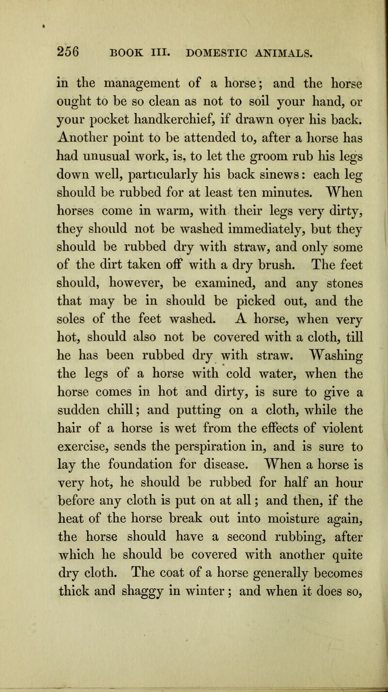 in the management of a horse; and the horse ought to be so clean as not to soil your hand, or your pocket handkerchief, if drawn oyer his back. Another point to be attended to, after a horse has had unusual work, is, to let the groom rub his legs down well, particularly his back sinews: each leg should be rubbed for at least ten minutes. When horses come in warm, with their legs very dirty, they should not be washed immediately, but they should be rubbed dry with straw, and only some of the dirt taken off with a dry brush. The feet should, however, be examined, and any stones that may be in should be picked out, and the soles of the feet washed. A horse, when very hot, should also not be covered with a cloth, till he has been rubbed dry with straw. Washing the legs of a horse with cold water, when the horse comes in hot and dirty, is sure to give a sudden chill; and putting on a cloth, while the hair of a horse is wet from the effects of violent exercise, sends the perspiration in, and is sure to lay the foundation for disease. When a horse is very hot, he should be rubbed for half an hour before any cloth is put on at all; and then, if the heat of the horse break out into moisture again, the horse should have a second rubbing, after which he should be covered with another quite dry cloth. The coat of a horse generally becomes thick and shaggy in winter ; and when it does so,