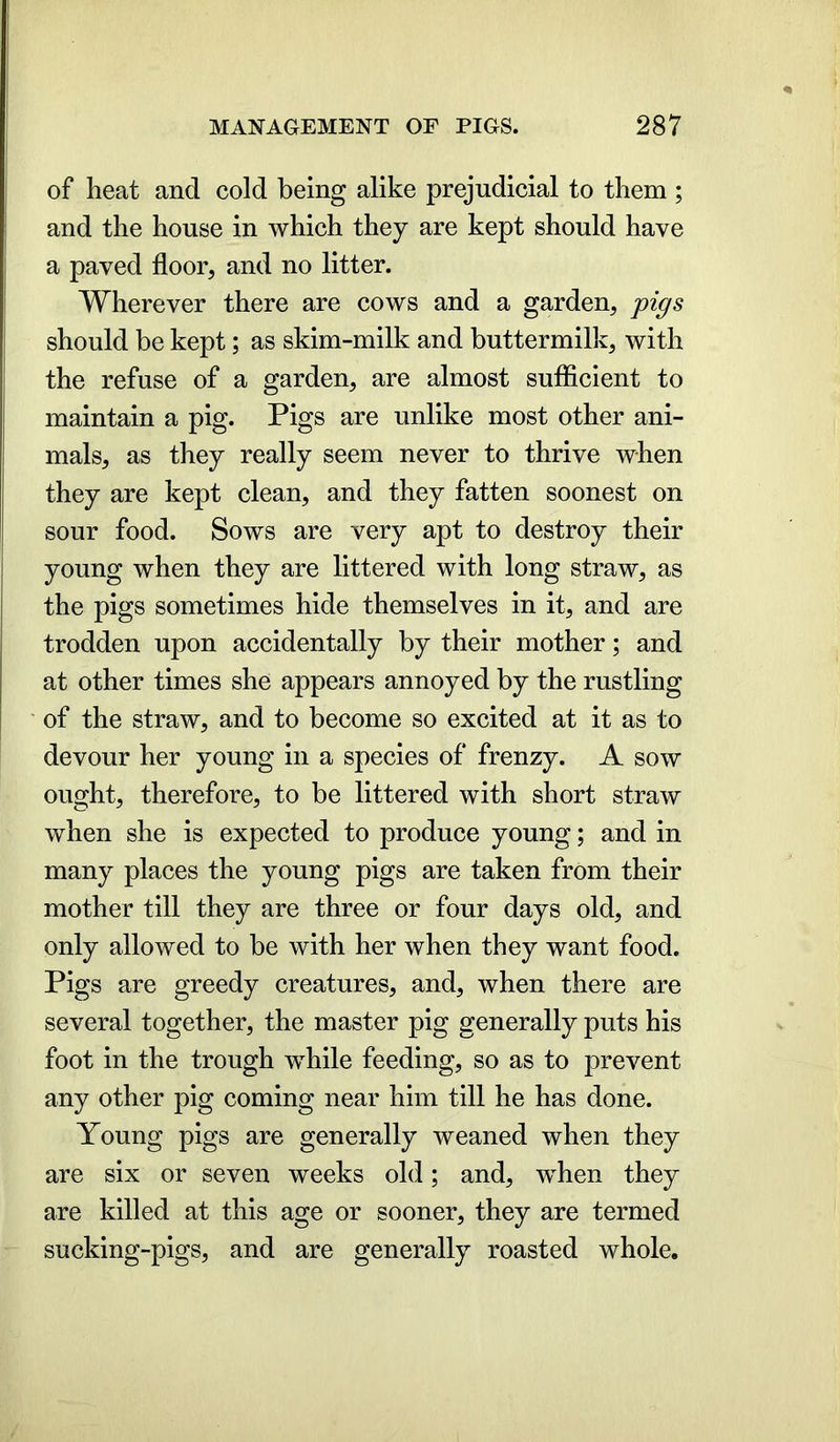 of heat and cold being alike prejudicial to them ; and the house in which they are kept should have a paved floor, and no litter. Wherever there are cows and a garden, pigs should be kept; as skim-milk and buttermilk, with the refuse of a garden, are almost sufficient to maintain a pig. Pigs are unlike most other ani- mals, as they really seem never to thrive when they are kept clean, and they fatten soonest on sour food. Sows are very apt to destroy their young when they are littered with long straw, as the pigs sometimes hide themselves in it, and are trodden upon accidentally by their mother; and at other times she appears annoyed by the rustling of the straw, and to become so excited at it as to devour her young in a species of frenzy. A sow ought, therefore, to be littered with short straw when she is expected to produce young; and in many places the young pigs are taken from their mother till they are three or four days old, and only allowed to be with her when they want food. Pigs are greedy creatures, and, when there are several together, the master pig generally puts his foot in the trough while feeding, so as to prevent any other pig coming near him till he has done. Young pigs are generally weaned when they are six or seven weeks old; and, when they are killed at this age or sooner, they are termed sucking-pigs, and are generally roasted whole.