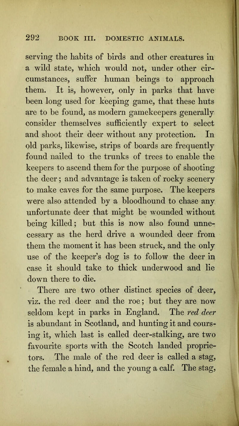 serving the habits of birds and other creatures in a wild state, which would not, under other cir- cumstances, suffer human beings to approach them. It is, however, only in parks that have been long used for keeping game, that these huts are to be found, as modern gamekeepers generally consider themselves sufficiently expert to select and shoot their deer without any protection. In old parks, likewise, strips of boards are frequently found nailed to the trunks of trees to enable the keepers to ascend them for the purpose of shooting the deer; and advantage is taken of rocky scenery to make caves for the same purpose. The keepers were also attended by a bloodhound to chase any unfortunate deer that might be wounded without being killed; but this is now also found unne- cessary as the herd drive a wounded deer from them the moment it has been struck, and the only use of the keeper’s dog is to follow the deer in case it should take to thick underwood and lie down there to die. There are two other distinct species of deer, viz. the red deer and the roe; but they are now seldom kept in parks in England. The red deer is abundant in Scotland, and hunting it and cours- ing it, which last is called deer-stalking, are two favourite sports with the Scotch landed proprie- tors. The male of the red deer is called a stag, the female a hind, and the young a calf. The stag,