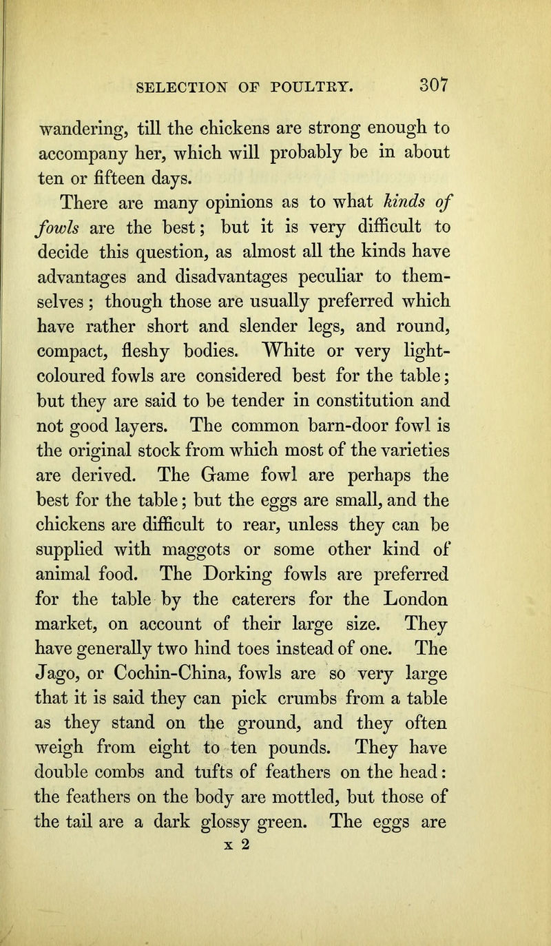 wandering, till the chickens are strong enough to accompany her, which will probably be in about ten or fifteen days. There are many opinions as to what kinds of fowls are the best; but it is very difficult to decide this question, as almost all the kinds have advantages and disadvantages peculiar to them- selves ; though those are usually preferred which have rather short and slender legs, and round, compact, fleshy bodies. White or very light- coloured fowls are considered best for the table; but they are said to be tender in constitution and not good layers. The common barn-door fowl is the original stock from which most of the varieties are derived. The Game fowl are perhaps the best for the table; but the eggs are small, and the chickens are difficult to rear, unless they can be supplied with maggots or some other kind of animal food. The Dorking fowls are preferred for the table by the caterers for the London market, on account of their large size. They have generally two hind toes instead of one. The Jago, or Cochin-China, fowls are so very large that it is said they can pick crumbs from a table as they stand on the ground, and they often weigh from eight to ten pounds. They have double combs and tufts of feathers on the head: the feathers on the body are mottled, but those of the tail are a dark glossy green. The eggs are