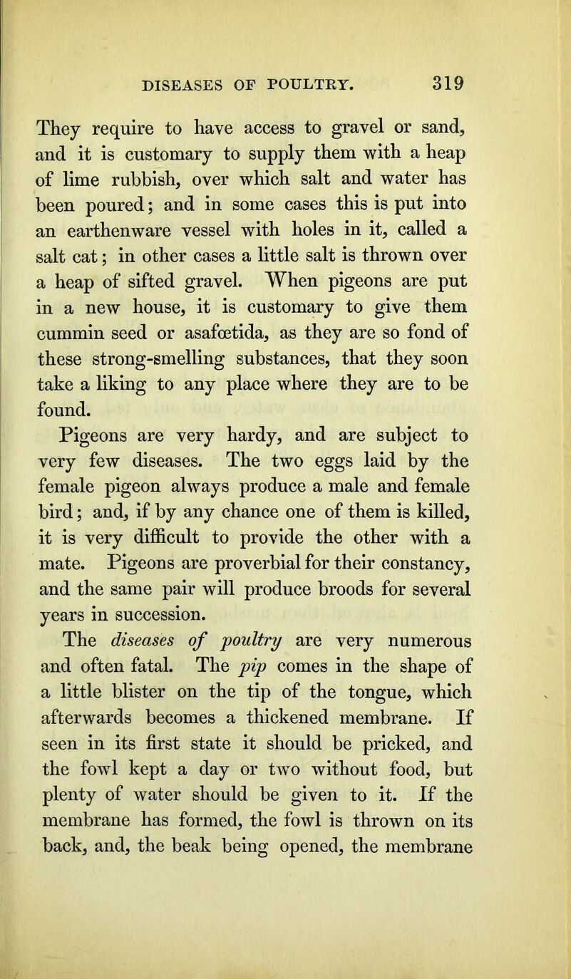 They require to have access to gravel or sand, and it is customary to supply them with a heap of lime rubbish, over which salt and water has been poured; and in some cases this is put into an earthenware vessel with holes in it, called a salt cat; in other cases a little salt is thrown over a heap of sifted gravel. When pigeons are put in a new house, it is customary to give them cummin seed or asafoetida, as they are so fond of these strong-smelling substances, that they soon take a liking to any place where they are to be found. Pigeons are very hardy, and are subject to very few diseases. The two eggs laid by the female pigeon always produce a male and female bird; and, if by any chance one of them is killed, it is very difficult to provide the other with a mate. Pigeons are proverbial for their constancy, and the same pair will produce broods for several years in succession. The diseases of poultry are very numerous and often fatal. The pip comes in the shape of a little blister on the tip of the tongue, which afterwards becomes a thickened membrane. If seen in its first state it should be pricked, and the fowl kept a day or two without food, but plenty of water should be given to it. If the membrane has formed, the fowl is thrown on its back, and, the beak being opened, the membrane