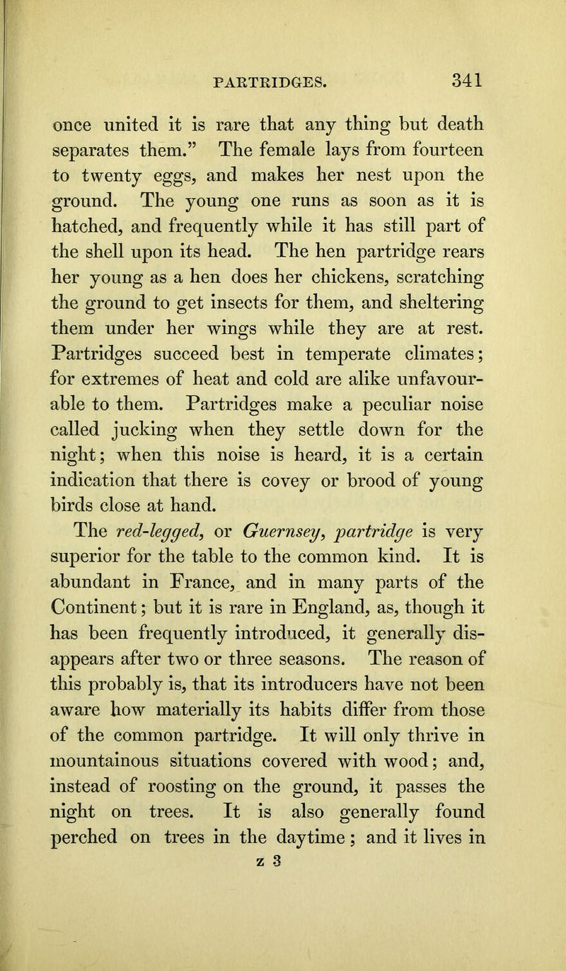 once united it is rare that any thing but death separates them.” The female lays from fourteen to twenty eggs, and makes her nest upon the ground. The young one runs as soon as it is hatched, and frequently while it has still part of the shell upon its head. The hen partridge rears her young as a hen does her chickens, scratching the ground to get insects for them, and sheltering them under her wings while they are at rest. Partridges succeed best in temperate climates; for extremes of heat and cold are alike unfavour- able to them. Partridges make a peculiar noise called jucking when they settle down for the night; when this noise is heard, it is a certain indication that there is covey or brood of young birds close at hand. The red-legged, or Guernsey, partridge is very superior for the table to the common kind. It is abundant in France, and in many parts of the Continent; but it is rare in England, as, though it has been frequently introduced, it generally dis- appears after two or three seasons. The reason of this probably is, that its introducers have not been aware how materially its habits differ from those of the common partridge. It will only thrive in mountainous situations covered with wood; and, instead of roosting on the ground, it passes the night on trees. It is also generally found perched on trees in the daytime; and it lives in