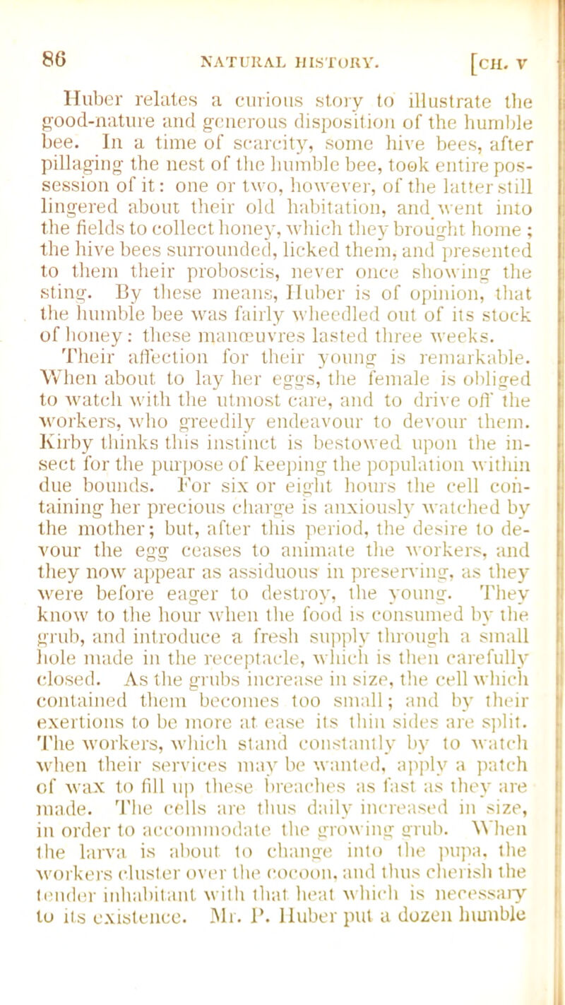 Huber relates a curious story to illustrate the good-nature and generous disposition of the humble bee. In a time of scarcity, some hive bees, after pillaging the nest of the humble bee, took entire pos- session of it: one or two, however, of the latter still lingered about their old habitation, and went into the fields to collect honey, which the}- brought home ; the hive bees surrounded, licked them, and presented to them their proboscis, never once showing the sting. By these means, Huber is of opinion, that the humble bee was fairly wheedled out of its stock of honey: these manoeuvres lasted three weeks. Their affection for their young is remarkable. When about to lay her eggs, the female is obliged to watch with the utmost care, and to drive oft' the workers, who greedily endeavour to devour them. Kirby thinks this instinct is bestowed upon the in- sect for the purpose of keeping the population within due bounds. For six or eight hours the cell con- taining her precious charge is anxiously watched by the mother; but, after this period, the desire to de- vour the egg ceases to animate the workers, and they now appear as assiduous in preserving, as they were before eager to destroy, the young. They know to the hour when the food is consumed by the grub, and introduce a fresh supply through a small hole made in the receptacle, which is then carefully closed. As the grubs increase in size, the cell which contained them becomes too small; and by their exertions to be more at ease ils thin sides are split. The workers, which stand constantly by to watch when their services may be wanted, apply a patch of wax to fill tip these breaches as fast as they are made. The cells are thus daily increased in size, in order to accommodate the growing grub. When the larva is about to change into the pupa, the workers cluster over the cocoon, and thus cherish the tender inhabitant with that heat which is necessary to its existence. Mr. P. Huber put a dozen lnunble