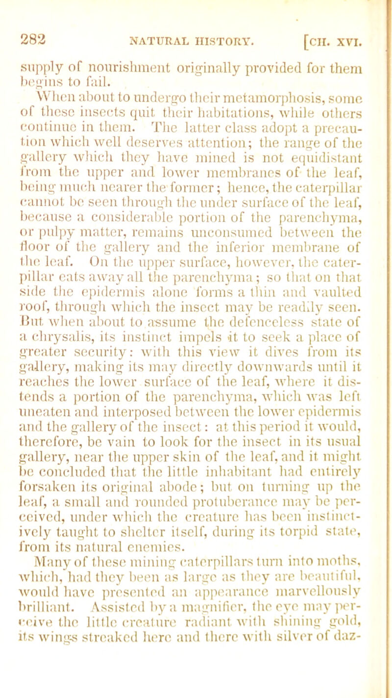 supply of nourishment originally provided for them begins to fail. When about to undergo their metamorphosis, some of these insects quit their habitations, while others continue in them. The latter class adopt a precau- tion which well deserves attention; the range of the gallery which they have mined is not equidistant from the upper and lower membranes of the leaf, being much nearer the former; hence, the caterpillar cannot be seen through the under surface of the leaf, because a considerable portion of the parenchyma, or pulpy matter, remains unconsumed between the floor of the gallery and the inferior membrane of the leaf. On the upper surface, however, the cater- pillar eats away all the parenchyma; so that on that side the epidermis alone forms a thin and vaulted roof, through which the insect may be readily seen. But when about to assume the defenceless state of a chrysalis, its instinct impels it to seek a place of greater security: with this view it dives from its gallery, making its may directly downwards until it reaches the lower surface of the leaf, where it dis- tends a portion of the parenchyma, which was left uneaten and interposed between the lower epidermis and the gallery of the insect: at this period it would, therefore, be vain to look for the insect in its usual gallery, near the upper skin of the leaf, and it might be concluded that the little inhabitant had entirely forsaken its original abode; but on turning up the leaf, a small and rounded protuberance may be per- ceived, under which the creature has been instinct- ively taught to shelter itself, during its torpid state, from its natural enemies. Many of these mining caterpillars turn into moths, which, had they been as large as they are beautiful, would have presented an appearance marvellously brilliant. Assisted by a magnifier, the eye may per- ceive the little creature radiant with shining gold, its wings streaked here and there with silver of daz-