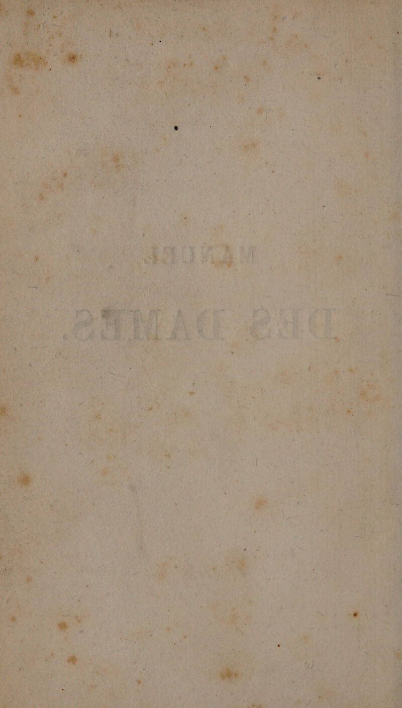 MALE 11004 #; FD 7 Pa Ft LA T4 Êe LL EE 2