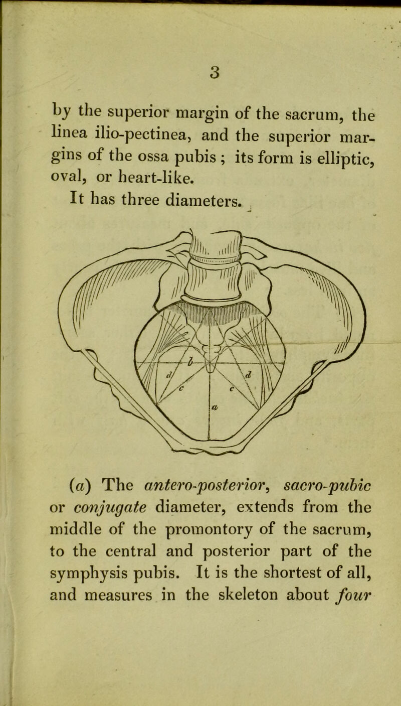 by the superior margin of the sacrum, the linea ilio-pectinea, and the superior mar- gins of the ossa pubis ; its form is elliptic, oval, or heart-like. It has three diameters. {a) The antero posterior, sacro-puhic or conjugate diameter, extends from the middle of the promontory of the sacrum, to the central and posterior part of the symphysis pubis. It is the shortest of all, and measures in the skeleton about four