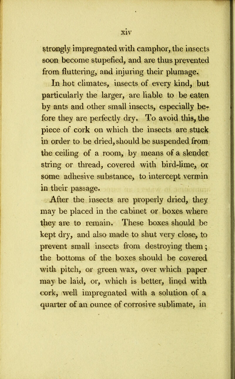 strongly impregnated with camphor,, the insects soon become stupefied, and are thus prevented from fluttering, and injuring their plumage. In hot climates, insects of every kind, but particularly the larger, are liable to be eaten by ants and other small insects, especially be^ fore they are perfectly dry. To avoid this, the piece of cork on which the insects are stuck in order to be dried, should be suspended from the ceiling of a room, by means of a slender string or thread, covered with bird-lime, or some adhesive substance, to intercept vermin in their passage. After the insects are properly dried, they may be placed in the cabinet or boxes where they are to remain. These boxes should be kept dry, and also made to shut very close, to prevent small insects from destroying them; the bottoms of the boxes should be covered with pitch, or green wax, over which paper may be laid, or, which is better, lined with cork, well impregnated with a solution of a quarter of an ounce of corrosive sublimate, in