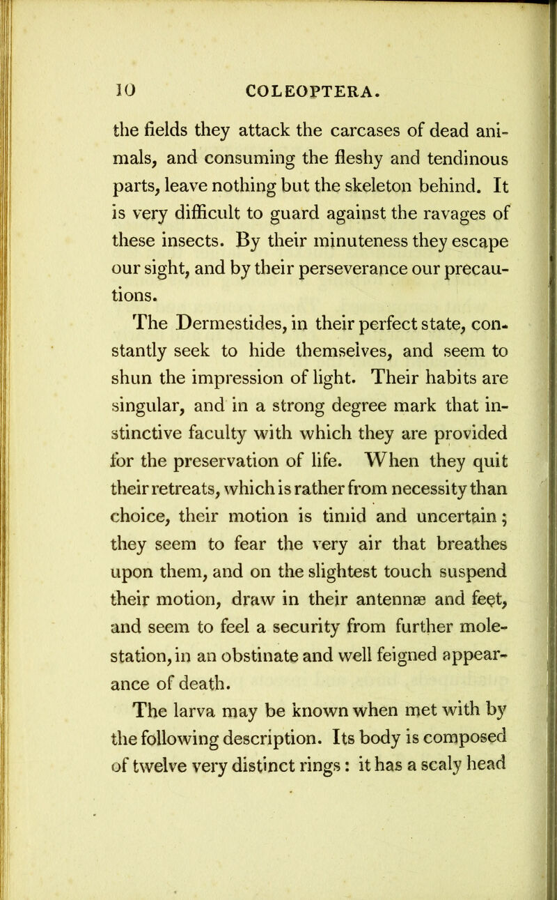 the fields they attack the carcases of dead ani- mals, and consuming the fleshy and tendinous parts, leave nothing but the skeleton behind. It is very difficult to guard against the ravages of these insects. By their minuteness they escape our sight, and by their perseverance our precau- tions. The Dermestides, in their perfect state, con- stantly seek to hide themselves, and seem to shun the impression of light. Their habits are singular, and in a strong degree mark that in- stinctive faculty with which they are provided for the preservation of life. When they quit their retreats, which is rather from necessity than choice, their motion is timid and uncertain; they seem to fear the very air that breathes upon them, and on the slightest touch suspend their motion, draw in their antennas and feet, and seem to feel a security from further mole- station, in an obstinate and well feigned appear- ance of death. The larva may be known when met with by the following description. Its body is composed of twelve very distinct rings: it has a scaly head