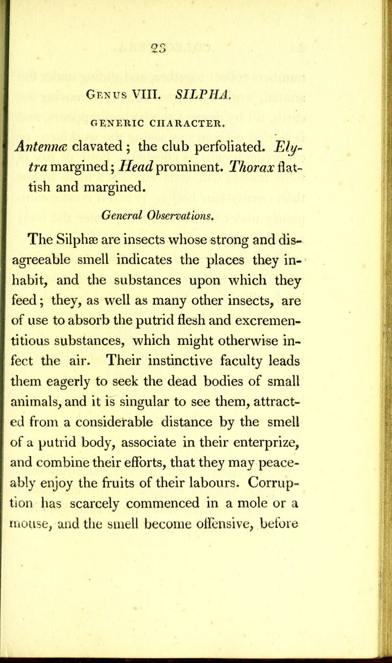 23 Genus VIII. SILPHA. GENERIC CHARACTER. Antenna clavated ; the club perfoliated. Ely- tra margined; Head prominent. Thorax dat- tish and margined. General Observations. The Silphse are insects whose strong and dis- agreeable smell indicates the places they in- habit, and the substances upon which they feed; they, as well as many other insects, are of use to absorb the putrid flesh and excremen- titious substances, which might otherwise in- fect the air. Their instinctive faculty leads them eagerly to seek the dead bodies of small animals, and it is singular to see them, attract- ed from a considerable distance by the smell of a putrid body, associate in their enterprize, and combine their efforts, that they may peace- ably enjoy the fruits of their labours. Corrup- tion has scarcely commenced in a mole or a mouse, and the smell become offensive, before