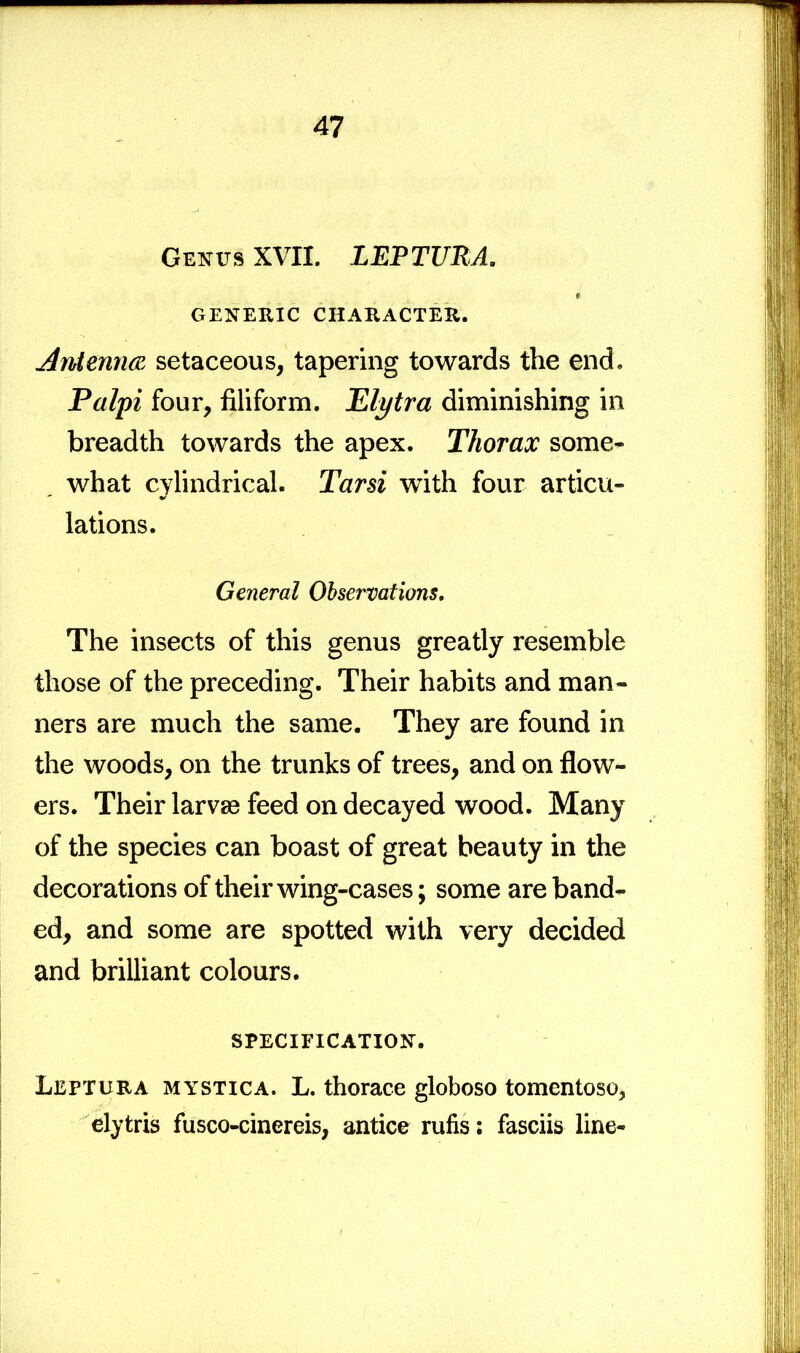 Genus XVII. LEPTURA. GENERIC CHARACTER. Antenna setaceous, tapering towards the end. Palpi four, filiform. Elytra diminishing in breadth towards the apex. Thorax some- what cylindrical. Tarsi with four articu- lations. General Observations. The insects of this genus greatly resemble those of the preceding. Their habits and man- ners are much the same. They are found in the woods, on the trunks of trees, and on flow- ers. Their larvas feed on decayed wood. Many of the species can boast of great beauty in the decorations of their wing-cases; some are band- ed, and some are spotted with very decided and brilliant colours. SPECIFICATION. Leptura mystica. L. thorace globoso tomentoso, elytris fusco-cinereis, antice rufis; fasciis line-