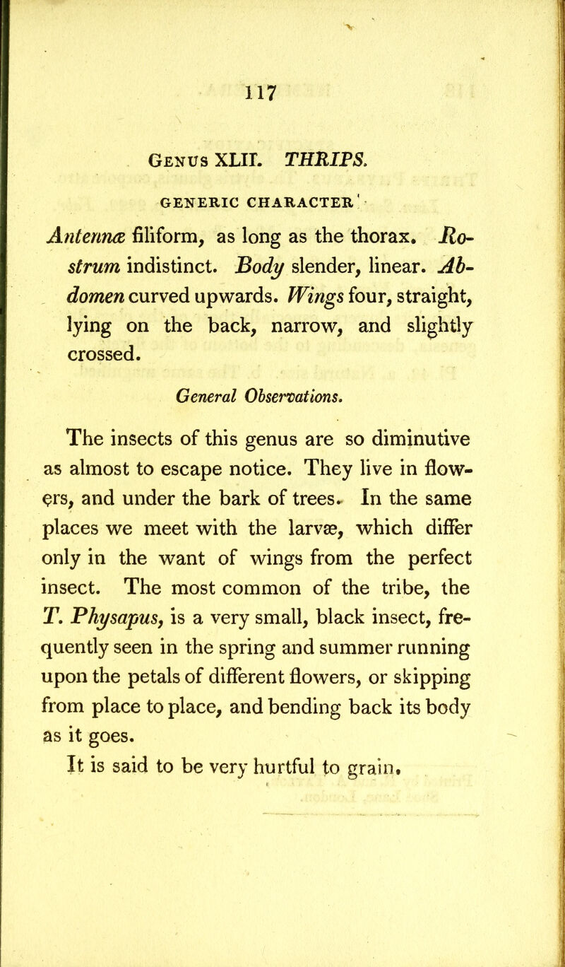 117 Genus XLIL THRIPS. GENERIC CHARACTER' Antenna filiform, as long as the thorax, jRo- strum indistinct. Body slender, linear. Ab- domen curved upwards. Wings four, straight, lying on the back, narrow, and slightly crossed. General Observations. The insects of this genus are so diminutive as almost to escape notice. They live in flow- ers, and under the bark of trees- In the same places we meet with the larva?, which differ only in the want of wings from the perfect insect. The most common of the tribe, the T. Physapus, is a very small, black insect, fre- quently seen in the spring and summer running upon the petals of different flowers, or skipping from place to place, and bending back its body as it goes. It is said to be very hurtful to grain#