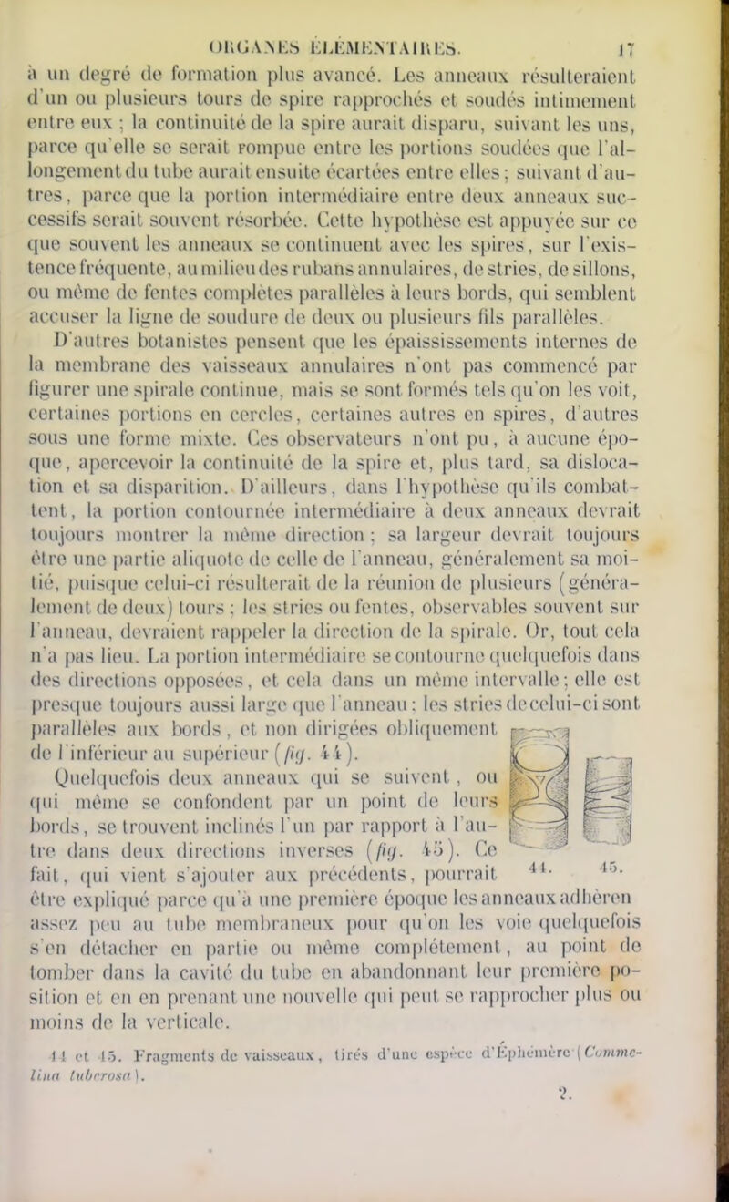 à un degré de formation plus avancé. Les anneaux résulteraient d’un ou plusieurs tours de spire rapprochés et soudés intimement entre eux ; la continuité de la spire aurait disparu, suivant les uns, parce quelle se serait rompue entre les portions soudées que ral- longement du tube aurait ensuite écartées entre elles; suivant d’au- tres, parce que la portion intermédiaire entre deux anneaux suc- cessifs serait souvent résorbée. Cette hypothèse est appuyée sur ce que souvent les anneaux se continuent avec les spires, sur l'exis- tence fréquente, au milieu des rubans annulaires, destries, de sillons, ou même de fentes complètes parallèles à leurs bords, qui semblent accuser la ligne de soudure de deux ou plusieurs fils parallèles. D’autres botanistes pensent que les épaississements internes de la membrane des vaisseaux annulaires n'ont pas commencé par figurer une spirale continue, mais se sont formés tels qu’on les voit, certaines portions en cercles, certaines autres en spires, d’autres sous une forme mixte. Ces observateurs n’ont pu, à aucune épo- que, apercevoir la continuité de la spire et, plus tard, sa disloca- tion et sa disparition. D'ailleurs, dans l’hypothèse qu'ils combat- tent, la portion contournée intermédiaire à deux anneaux devrait toujours montrer la même direction ; sa largeur devrait toujours être une partie aliquotc de celle de l’anneau, généralement sa moi- tié, puisque celui-ci résulterait de la réunion de plusieurs (généra- lement de deux) tours : les stries ou fentes, observables souvent sur l'anneau, devraient rappeler la direction de la spirale. Or, tout cela n'a pas lieu. La portion intermédiaire se contourne quelquefois dans des directions opposées, et cela dans un même intervalle; elle est presque toujours aussi large que l’anneau: les striesdecelui-cisont parallèles aux bords, et non dirigées obliquement de l’inférieur au supérieur (/h/. 44 ). £) 'J Quelquefois deux anneaux qui se suivent, ou qui même se confondent par un point de leurs bords, se trouvent inclinés l'un par rapport à l’au- j tre dans deux directions inverses (fig. 45). Ce fait, qui vient s’ajouter aux précédents, pourrait 4l- être expliqué parce qu’à une première époque les anneaux adhèren assez peu au tube membraneux pour qu’on les voie quelquefois s’en détacher en partie ou même complètement, au point de tomber dans la cavité du tube en abandonnant leur première po- sition et en en prenant une nouvelle qui peut se rapprocher plus ou moins de la verticale. Il et lô. Fragments de vaisseaux, tirés d'une espèce d'Fphémère( Cumme- lina luberosa).