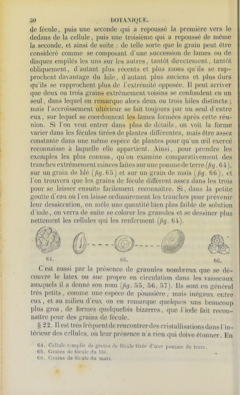 ao bOTAMQUK. de fécule, puis une seconde qui a repoussé la première vers le dedans de la cellule, puis une troisième qui a repoussé de même la seconde, et ainsi de suite : de telle sorte que le grain peut être considéré comme se composant d'une succession de lames ou de disques empilés les uns sur les autres, tantôt directement, tantôt obliquement, d'autant plus récents et plus mous qu'ils se rap- prochent davantage du hile, d'autant plus anciens et plus durs qu'ils se rapprochent plus de l'extrémité opposée. 11 peut arriver que deux ou trois grains extrêmement voisins se confondent en un seul, dans lequel on remarque alors deux ou trois hiles distincts ; mais l’accroissement ultérieur se fait toujours par un seul d'entre eux, sur lequel se coordonnent les lames formées après cette réu- nion. Si l'on veut entrer dans plus de détails, on voit la forme varier dans les fécules tirées de plantes différentes, mais être assez constante dans une même espèce de plantes pour qu'un œil exercé reconnaisse à laquelle elle appartient. Ainsi, pour prendre les exemples les plus connus, qu'on examine comparativement des tranches extrêmement minces faites sur une pommede terre (//y. G 4), sur un grain de blé (//y. 63) et sur un grain de maïs (//y. GG), et l'on trouvera que les grains de fécule différent assez dans les trois pour se laisser ensuite facilement reconnaître. Si, dans la petite goutte d'eau ou l'on laisse ordinairement les tranches pour prévenir leur dessiccation, on mêle une quantité bien plus faible de solution d'iode, on verra de suite se colorer les granules et se dessiner plus nettement les cellules qui les renferment (//y. 64). 61. 05. 66. G est aussi par la présence de granules nombreux que se dé- couvre le latex ou suc propre en circulation dans les vaisseaux auxquels il a donné son nom (//y. 33, 36, 37). Ils sont en général très petits, comme une espèce de poussière, mais inégaux entre eux, et au milieu deux on en remarque quelques uns beaucoup plus gros, de formes quelquefois bizarres, que l'iode fait recon- naître pour des grains de fécule. § 22. Il est très fréquentderencontrerdes cristallisations dans l'in- térieur des cellules, ou leur présence n'a rien qui doive étonner. En 64. Cellule remplie de grains de fécule tirée d’une pomme de terre. 65. Grains de fécule du blé. 66. Grains de fécule du maïs.