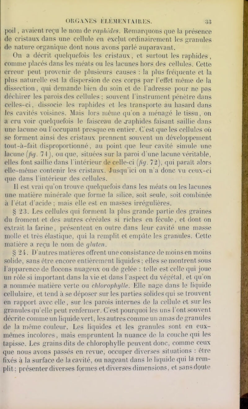 poil, avaient reçu le nom de raphides. Remarquons que la présence de cristaux dans une cellule en exclut ordinairement les granules de nature organique dont nous avons parlé auparavant. On a décrit quelquefois les cristaux, et surtout les raphides, comme placés dans les méats ou les lacunes hors des cellules. Cette erreur peut provenir de plusieurs causes : la plus fréquente et la plus naturelle est la dispersion de ces corps par l’effet même de la dissection, qui demande bien du soin et de l'adresse pour ne pas déchirer les parois des cellules : souvent l'instrument pénètre dans celles-ci, dissocie les raphides et les transporte au hasard dans les cavités voisines. Mais lors même qu'on a ménagé le tissu, on a cru voir quelquefois le faisceau de .raphides faisant saillie dans une lacune ou l'occupant presque en entier. C’est que les cellules où se forment ainsi des cristaux prennent souvent un développement tout-à-fait disproportionné, au point que leur cavité simule une lacune (fig. 71 ), ou que, situées sur la paroi d'une lacune véritable, elles font saillie dans l'intérieur de celle-ci (fig. 72), qui paraît alors elle-même contenir les cristaux. Jusqu'ici on n'a donc vu ceux-ci (pie dans l'intérieur des cellules. 11 est vrai qu'on trouve quelquefois dans les méats ou les lacunes une matière minérale que forme la silice, soit seule, soit combinée à l'état d'acide; mais elle est en masses irrégulières. $ 23. Les cellules qui forment la plus grande partie des graines du froment et des autres céréales si riches en fécule, et dont on extrait la farine, présentent en outre dans leur cavité une masse molle et très élastique, qui la remplit et empâte les granules. Cette matière a reçu le nom de gluten. § 24. D’autres matières offrent une consistance de moins en moins solide, sans être encore entièrement liquides : elles se montrent sous l'apparence de llocons nuageux ou de gelée : telle est celle qui joue un rôle si important dans la \ ie et dans l'aspect du végétal, et qu'on a nommée matière verte ou chloraphglle. Elle nage dans le liquide cellulaire, et tend à se déposer sur les parties solides qui se trouvent en rapport avec elle, sur les parois internes de la cellule et sur les granules qu elle peut renfermer. C'est pourquoi les uns l'ont souvent décrite comme un liquide vert, les autres comme un amas de granules de la même couleur. Les liquides et les granules sont en eux- mêmes incolores, mais empruntent la nuance de la couche qui les tapisse. Les grains dits de chlorophylle peuvent donc, comme ceux que nous avons passés en revue, occuper diverses situations : être fixés à la surface de la cavité, ou nageant dans le liquide qui la rem- plit: présenter diverses formes et diverses dimensions, et sans doute