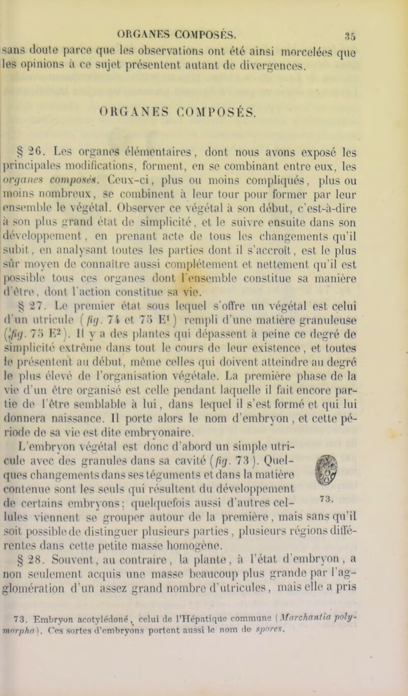 sans doute parce que les observations ont été ainsi morcelées quo les opinions a ce sujet présentent autant de divergences. ORGANES COMPOSÉS. § 26. Les organes élémentaires, dont nous avons exposé les principales modifications, forment, en se combinant entre eux, les organes composés. Ceux-ci, plus ou moins compliqués, plus ou moins nombreux, se combinent à leur tour pour former par leur ensemble le végétal. Observer ce végétal à son début, c’est-à-dire à son plus grand état de simplicité, et le suivre ensuite dans son développement, en prenant acte de tous les changements qu’il subit, en analysant toutes les parties dont il s’accroît, est le plus sûr moyen de connaître aussi complètement et nettement qu’il est possible tous ces organes dont l’ensemble constitue sa manière d’ètre, dont l'action constitue sa vie. §27. Le premier état sous lequel s'offre un végétal est celui d'un utricule (//</. 74 et 75 Ef) rempli d’une matière granuleuse («/'!/• 75 E2). Il y a des plantes qui dépassent à peine ce degré de simplicité extrême dans tout le cours de leur existence, et toutes le présentent au début, même celles qui doivent atteindre au degré le plus élevé de l’organisation végétale. La première phase de la vie d’un être organisé est celle pendant laquelle il fait encore par- tie de l’être semblable à lui, dans lequel il s’est formé et qui lui donnera naissance. Il porte alors le nom d’embryon , et cette pé- riode de sa vie est dite embryonaire. L’embryon végétal est donc d’abord un simple utri- cule avec des granules dans sa cavité (fig. 73 ). Quel- ques changements dans ses téguments et dans la matière contenue sont les seuls qui résultent du développement de certains embryons; quelquefois aussi d’autres cel- lules viennent se grouper autour de la première, mais sans qu’il soit possible de distinguer plusieurs parties, plusieurs régions diffé- rentes dans cette petite masse homogène. § 28. Souvent, au contraire, la plante, à l’état d’embryon, a non seulement acquis une masse beaucoup plus grande par l’ag- glomération d’un assez grand nombre d’utricules, mais elle a pris 73. Embryon acotylédoné, celui de l’Hépatique commune (.1 farchanlia poly- mnrpha). Ces Sortes d’embryons portent aussi le nom do spores. 73.