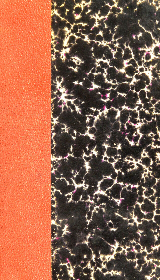 digitised image 1