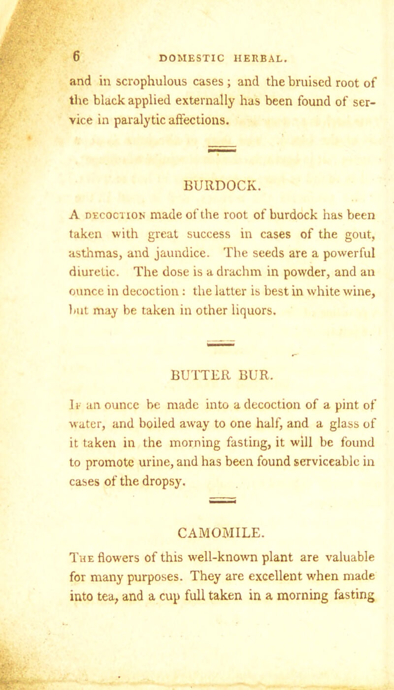 and in scrophulous cases; and the bruised root of the black applied externally has been found of ser- vice in paralytic affections. BURDOCK. A decoction made of the root of burdock has been taken with great success in cases of the gout, asthmas, and jaundice. The seeds are a powerful diuretic. The dose is a drachm in powder, and an ounce in decoction: the latter is best in white wine, but may be taken in other liquors. BUTTER BUR. If an ounce be made into a decoction of a pint of water, and boiled away to one half, and a glass of it taken in the morning fasting, it will be found to promote urine, and has been found serviceable in cases of the dropsy. CAMOMILE. The flowers of this well-known plant are valuable for many purposes. They are excellent when made into tea, and a cup full taken in a morning fasting