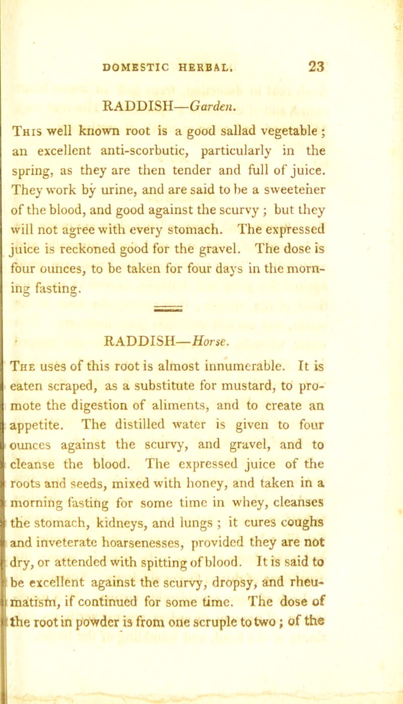 RADDISH—Garden. This well known root is a good sallad vegetable ; an excellent anti-scorbutic, particularly in the spring, as they are then tender and full of juice. They work by urine, and are said to be a sweetener of the blood, and good against the scurvy ; but they will not agree with every stomach. The expressed juice is reckoned good for the gravel. The dose is four ounces, to be taken for four days in the morn- ing fasting. © © RADDISH— Horse. The uses of this root is almost innumerable. It is eaten scraped, as a substitute for mustard, to pro- mote the digestion of aliments, and to create an appetite. The distilled water is given to four ounces against the scurvy, and gravel, and to cleanse the blood. The expressed juice of the roots and seeds, mixed with honey, and taken in a morning fasting for some time in whey, cleanses the stomach, kidneys, and lungs ; it cures coughs and inveterate hoarsenesses, provided they are not dry, or attended with spitting of blood. It is said to be excellent against the scurvy, dropsy, and rheu- matism, if continued for some time. The dose of the root in powder is from one scruple to two; of the