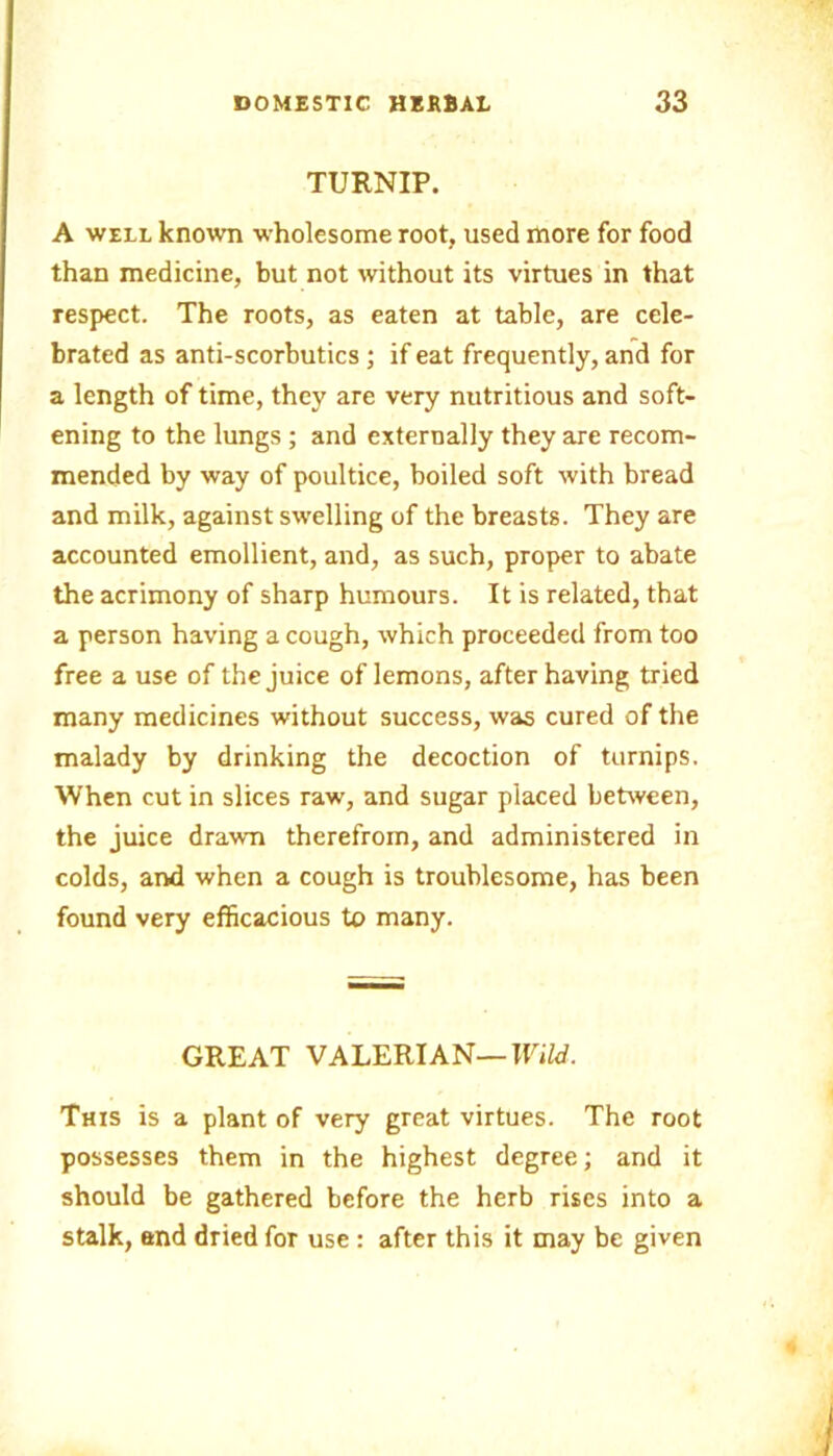 TURNIP. A well known wholesome root, used more for food than medicine, but not without its virtues in that respect. The roots, as eaten at table, are cele- brated as anti-scorbutics; if eat frequently, and for a length of time, they are very nutritious and soft- ening to the lungs; and externally they are recom- mended by way of poultice, boiled soft with bread and milk, against swelling of the breasts. They are accounted emollient, and, as such, proper to abate the acrimony of sharp humours. It is related, that a person having a cough, which proceeded from too free a use of the juice of lemons, after having tried many medicines without success, was cured of the malady by drinking the decoction of turnips. When cut in slices raw, and sugar placed between, the juice drawn therefrom, and administered in colds, and when a cough is troublesome, has been found very efficacious to many. GREAT VALERIAN—Wild. This is a plant of very great virtues. The root possesses them in the highest degree; and it should be gathered before the herb rises into a stalk, and dried for use : after this it may be given