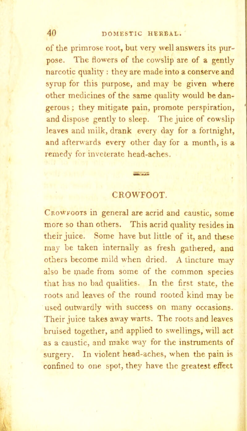 of the primrose root, but very well answers its pur- pose. The Howers of the cowslip are of a gently narcotic quality : they are made into a conserve and syrup for this purpose, and may be given where other medicines of the same quality would be dan- gerous ; they mitigate pain, promote perspiration, and dispose gently to sleep. The juice of cowslip leaves and milk, drank every day for a fortnight, and afterwards every other day for a month, is a remedy for inveterate head-aches. CROWFOOT. Crowfoots in general are acrid and caustic, some more so than others. This acrid quality resides in their juice. Some have but little of it, and these may be taken internally as fresh gathered, ana others become mild when dried. A tincture may also be ipade from some of the common species that has no bad qualities. In the first state, the roots and leaves of the round rooted kind may be used outwardly with success on many occasions. Their juice takes away warts. The roots and leaves bruised together, and applied to swellings, will act as a caustic, and make way for the instruments of surgery. In violent head-aches, when the pain is confined to one spot, they have the greatest effect