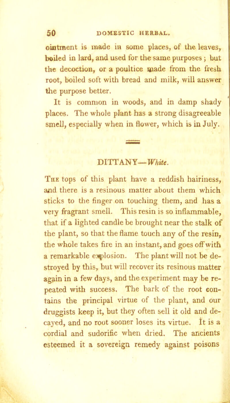 ointment is made in some places, of the leaves, boiled in lard, and used for the same purposes; but the decoction, or a poultice wade from the fresh root, boiled soft with bread and milk, will answer the purpose better. It is common in woods, and in damp shady places. The whole plant has a strong disagreeable smell, especially when in flower, which is in July. DITTANY—White. The tops of this plant have a reddish hairiness, and there is a resinous matter about them which sticks to the finger on touching them, and has a very fragrant smell. This resin is so inflammable, that if a lighted candle be brought near the stalk of the plant, so that the flame touch any of the resin, the whole takes fire in an instant, and goes off with a remarkable explosion. The plant will not be de- stroyed by this, but will recover its resinous matter again in a few days, and the experiment may be re- peated with success. The bark of the root con- tains the principal virtue of the plant, and our druggists keep it, but they often sell it old and de- cayed, and no root sooner loses its virtue. It is a cordial and sudorific when dried. The ancients esteemed it a sovereign remedy against poisons