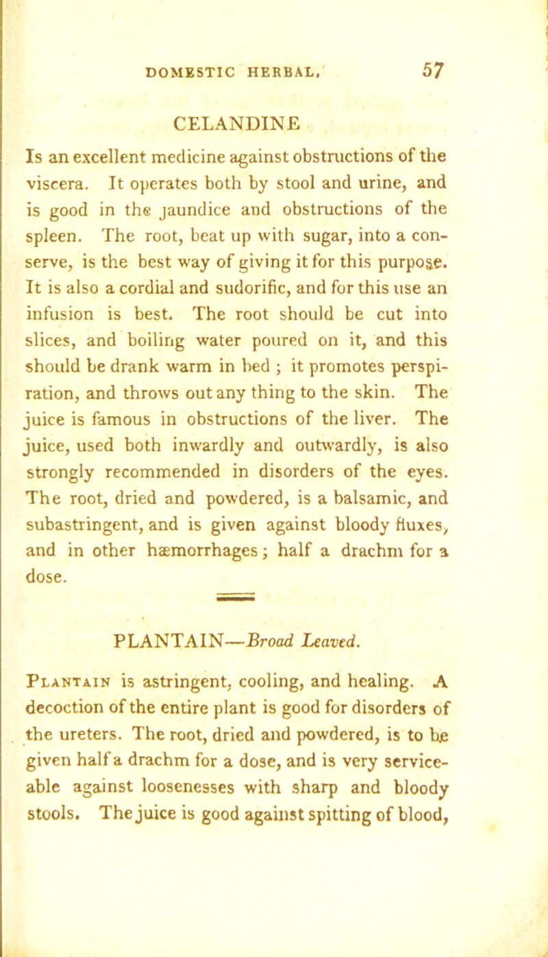 CELANDINE Is an excellent medicine against obstructions of the viscera. It operates both by stool and urine, and is good in the jaundice and obstructions of the spleen. The root, beat up with sugar, into a con- serve, is the best way of giving it for this purpose. It is also a cordial and sudorific, and for this use an infusion is best. The root should be cut into slices, and boiling water poured on it, and this should be drank warm in bed ; it promotes perspi- ration, and throws out any thing to the skin. The juice is famous in obstructions of the liver. The juice, used both inwardly and outwardly, is also strongly recommended in disorders of the eyes. The root, dried and powdered, is a balsamic, and subastringent, and is given against bloody fluxes, and in other haemorrhages; half a drachm for a dose. PLANTAIN—Broad Leaved. Plantain is astringent, cooling, and healing. A decoction of the entire plant is good for disorders of the ureters. The root, dried and powdered, is to b.e given half a drachm for a dose, and is very service- able against loosenesses with sharp and bloody stools. The juice is good against spitting of blood,