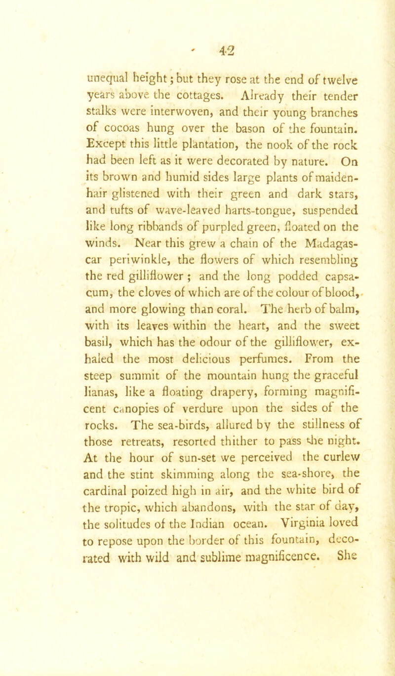 unequal height; but they rose at the end of twelve years above the cottages. Already their tender stalks were interwoven, and their young branches of cocoas hung over the bason of die fountain. Except this little plantation, the nook of the rock had been left as it were decorated by nature. On its brown and humid sides large plants of maiden- hair glistened with their green and dark stars, and tufts of wave-leaved harts-tongue, suspended like long ribbands of purpled green, floated on the winds. Near this grew a chain of the Madagas- car periwinkle, the flowers of which resembling the red gilliflower ; and the long podded capsa- cum, the cloves of which are of the colour of blood, and more glowing than coral. The herb of balm, with its leaves within the heart, and the sweet basil, which has the odour of the gilliflower, ex- haled the most delicious perfumes. From the steep summit of the mountain hung the graceful lianas, like a floating drapery, forming magnifi- cent canopies of verdure upon the sides of the rocks. The sea-birds, allured by the stillness of those retreats, resorted thither to pass die night. At the hour of sun-set we perceived the curlew and the stint skimming along the sea-shore, the cardinal poized high in air, and the white bird of the tropic, which abandons, with the star of day, the solitudes of the Indian ocean. Virginia loved to repose upon the border of this fountain, deco- rated with wild and sublime magnificence. She