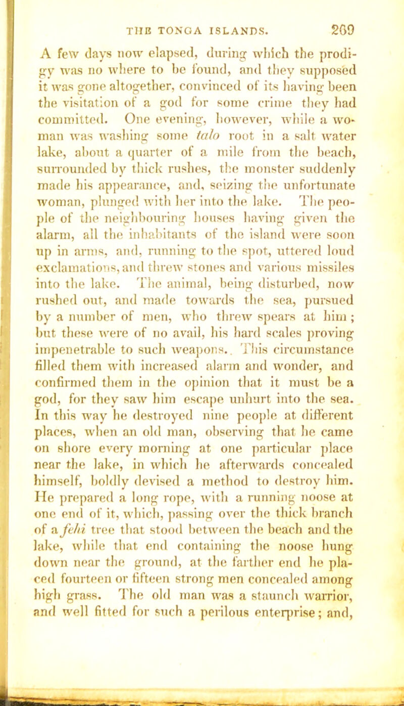 A few days now elapsed, during which the prodi- gy was no where to be found, and they supposed it was gone altogether, convinced of its having been the visitation of a god for some crime they had committed. One evening, however, while a wo- man was washing some talo root in a salt water lake, about a quarter of a mile from the beach, surrounded by thick rushes, the monster suddenly made his appearance, and, seizing the unfortunate woman, plunged with her into the lake. The peo- ple of the neighbouring houses having given the alarm, all the inhabitants of the island were soon up in arms, and, running to the spot, uttered loud exclamations, and threw stones and various missiles into the lake. The animal, being disturbed, now rushed out, and made towards the sea, pursued by a number of men, who threw spears at him; but these were of no avail, his hard scales proving impenetrable to such weapons.. This circumstance filled them with increased alarm and wonder, and confirmed them in the opinion that it must be a god, for they saw him escape unhurt into the sea. In this way he destroyed nine people at different places, when an old man, observing that he came on shore every morning at one particular place near the lake, in which he afterwards concealed himself, boldly devised a method to destroy him. He prepared a long rope, with a running noose at one end of it, which, passing over the thick branch of a fe/ii tree that stood between the beach and the lake, while that end containing the noose hung down near the ground, at the farther end he pla- ced fourteen or fifteen strong men concealed among high grass. The old man was a staunch warrior, and well fitted for such a perilous enterprise; and,