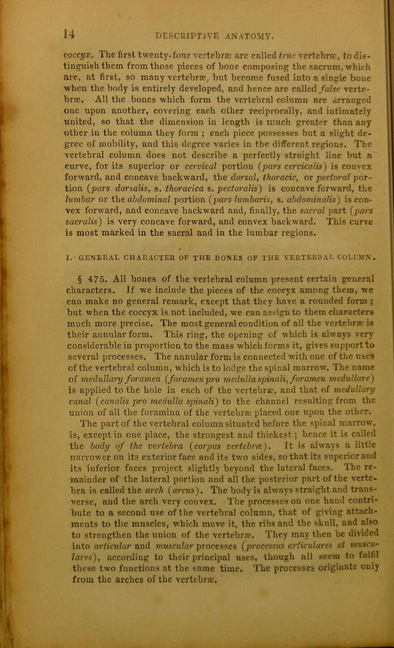 coccyx, The first twenty-four vertebrae are called true vertebrae, to dis - tinguisli them fromthose pieces of bone composing the sacrum, which are, at first, so man y vertebrae, but become fused into a single bone when the body is entirely developed, and hence are called false verte- brae. All the bones which form the vertebral column are arranged one upon another, covering each other reciprocally, and intimately United, so that the dimension in length is much greater than any other in the column they form ; each piece possesses but a slight de- gree of roobility, and this degree varies in the different regions. The vertebral column does not describe a perfectly straight line but a curve, for its superior or cervical portion (pars cervicalis) is convex forward, and concave backward, the dorsal, thoracic, or pecloral por- tion (pars dorsalis, s. thoracica s. pectoralis) is concave forward, the lumbar or the abdominal portion (pars lumbaris, s. abdominalis) is con- vex forward, and concave backward and, finally, the sacral part (pars sacralis) is very concave forward, and convex backward. This curve is most marked in the sacral and in the lumbar regions. I. GENERAL CHARACTER OF THE BONES OF THE VERTEBRAL COLUMN. § 475. All bones of the vertebral column present certain general characters. If we include the pieces of the coccyx among them, we can make no general remark, except that they have a rounded form ; but when the coccyx is not included, we can assign to them characters much more precise. The most general condition of all the vertebrae is their annular form. This ring, the opening of which is always very considerable in proportion to the mass which forms it, gives snpportto several processes. The annular form is connected with one of the uscs of the vertebral column, which is to lodge the spinal marrow. The name of medullary foramen (foramenpro medulla spinali, foramen medulläre) is applied to the hole in each of the vertebrae, and that of medullary canal (canalis pro medulla spinali) to the channel resulting from the union of all the foramina of the vertebrae placed one upon the other. The partof the vertebral column situated before the spinal marrow, is, except in one place, the strongest and thickest; hence it is called the body of the vertebra (corpus verleb ree). It is always a little narrower on its exterior face and its two sides, so that its superior and its inferior faces project slightly beyond the lateral faces. The re- mainder of tlie lateral portion and all the posterior part of the verte- bra is called the arch (arcus). The body is always straight and trans- verse, aud the arch very convex. The processes on one hand contri- bute to a second use of the vertebral column, that of giving attach- ments to tbe muscles, which move it, the ribs and the skull, and also to strengthen the union of the vertebrse. They may then be divided into articular and muscular processes (processus arliculares et muscu- lares), according to their principal uses, though all sccm to fulfil these two functions at the same time. The processes originate only from the arches of the vertebrae.