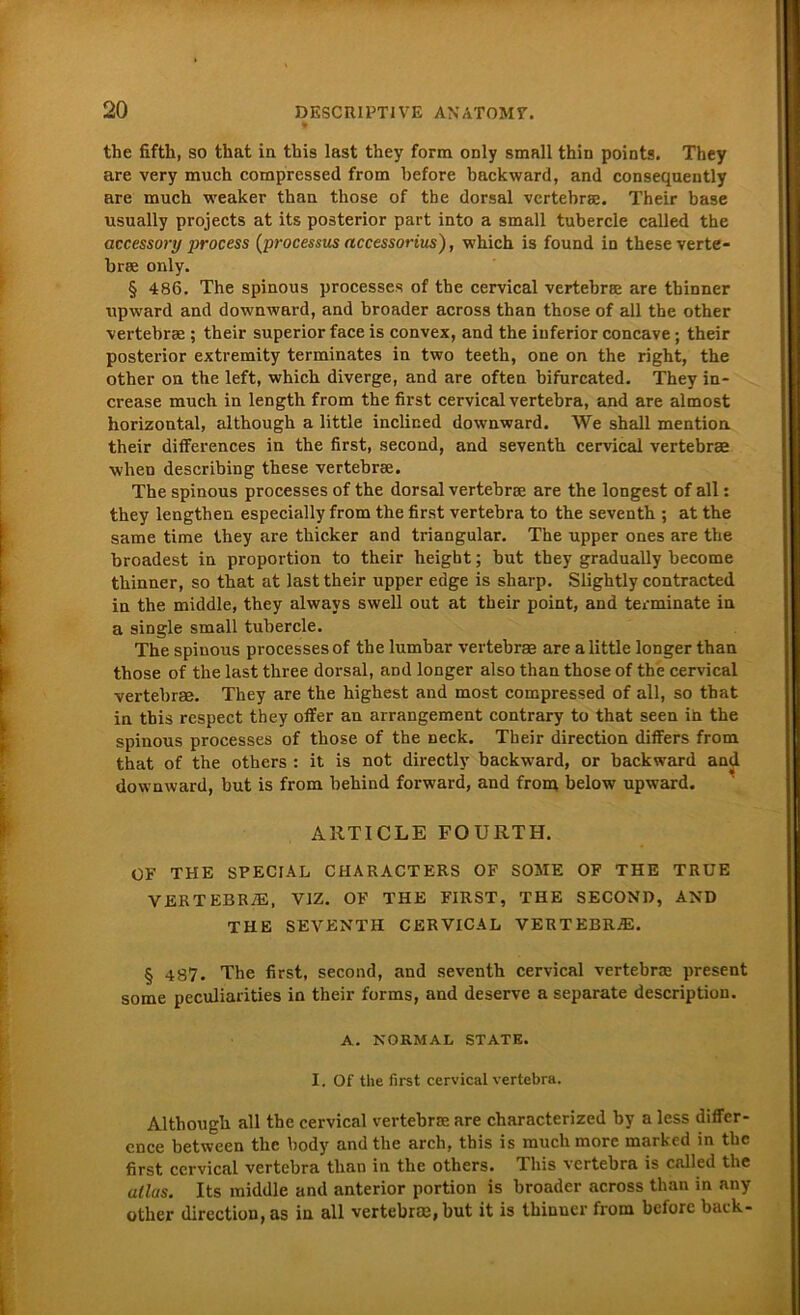the fifth, so tliat in this last they form only small thin points. They are very much compressed from before backward, and consequently are much weaker than those of tbe dorsal vertebral. Their base usually projects at its posterior part into a small tubercle called the accessory process (processus accessorius), which is found in theseverte- brae only. § 486. The spinous processes of the cervical vertebrae are tbinner upward and downward, and broader across than those of all the other vertebrae ; their superior face is convex, and the inferior concave; their posterior extremity terminates in two teeth, one on the right, the other on the left, which diverge, and are often bifurcated. They in- crease much in length from the first cervical vertebra, and are almost horizontal, although a little incliced downward. We shall mention their differences in the first, second, and seventh cervical vertebrae when describing these vertebrse. The spinous processes of the dorsal vertebrse are the longest of all: they lengthen especially from the first vertebra to the seventh ; at the same time they are thicker and triangulär. The upper ones are the broadest in proportion to their height; but they gradually become thinner, so that at last their upper edge is sharp. Slightly contracted in the middle, they always swell out at their point, and terminate in a single small tubercle. The spinous processes of the lumbar vertebrse are a little longer than those of the last three dorsal, aDd longer also than those of the cervical vertebrae. They are the highest and most compressed of all, so that in tbis respect they offer an arrangement contrary to that seen in the spinous processes of those of the Deck. Their direction differs from that of the others : it is not directly backward, or backward and downward, but is from behind forward, and from below upward. ARTICLE FOURTH. OF THE SPECIAL CHARACTERS OF SOME OF THE TRUE vertebra;, vjz. OF THE FIRST, THE second, and THE SEVENTH CERVICAL VERTEBRAE. § 487. The first, second, and seventh cervical vertebrae present some peculiarities in their forms, and deserve a separate description. A. NORMAL STATE. I. Of the first cervical vertebra. Although all the cervical vertebrae are characterized bv a less differ- ence between the body and the arcli, tbis is rauch more marked in tbc first cervical vertebra than in the others. This vertebra is called tbe alias. Its middle and anterior portion is broader across than in any other direction, as in all vertebrse, but it is thinner fi'om before back-