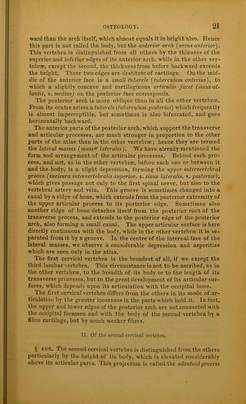 ward than the arch itself, which almost equals it in height also. Hence this part is not called the body, but the anterior arch (arcus anterior). This vertebra is distinguished from all others by the thinness of the superior and inferior edges of its anterior arch, while in the other ver- tebrae, except the second, the thickness from before backward exceeds the height. These two edges are destitute of cartilage. Onthe mid- dle of the anterior face is a small tubercle (tuberculum anterius), to which a slightly concave and cartilaginous articular facet (sinus at- lantis, s. mediusj on the posterior face corresponds. The posterior arch is more oblique than in all the other vertebrae. From its centre arises a tubercle (tuberculum posterius) which frequently is almost imperceptible, but sometimes is also bifurcated, and goes horizontally backward. The anterior parts of the posterior arch, which support the transverse and articular processes, are much stronger in proportion to the other parts of the atlas than in the other vertebrae; hence they are termed the lateral masses (masslaterales). We have already mentioned the form and arrangement of the articular processes. Behind each pro- cess, and not, as in the other vertebrae, before each one or between it and the body, is a sliglit depression, forming the upper intern er t ehr al groove (incisura intervertebralis superior, s. sinus lateralis, s. posterior), which gives passage not only to the first spinal nerve, but also to the vertebral artery and vein. This groove is sometimes changed into a canal by a ridge of bone, which extends from the posterior extremity of the upper articular process to its posterior edge. Sometimes also another ridge of bone detaches itself from the posterior root of the transverse process, and extends to the posterior edge of the posterior arch, also forming a small canal. The upper articular surface is here directly continuous with the body, while in the other vertebrae it is se- parated from it by a groove. In the centre of the internal face of the lateral masses, we observe a considerable depression and asperities which are seen only in the atlas. The first cervical vertebra is the broadest of all, if we except the third lumbar vertebra. This circumstance is not to be ascribed, as in the other vertebrae, to the breadth of its body or to the length of its transverse processes, but to the great development of its articular sur- faces, which deperuls upon its articulation with the occipital bone. The first cervical vertebra differs from the others in its mode of ar- ticulation by tbe greater looseness in the parts which hold it. In fact, the upper and lower edges of the posterior arch are notcounected with the occipital foramen and with the body of the second vertebra by a fibro cartilage, but by much weaker fibres. II. Of the second cervical vertebra. § 488. The second cervical vertebra is distinguished frotn the others particularly by the height of its body, which is elevated considerably above its articular parts. This projection is called the odontoidprocess