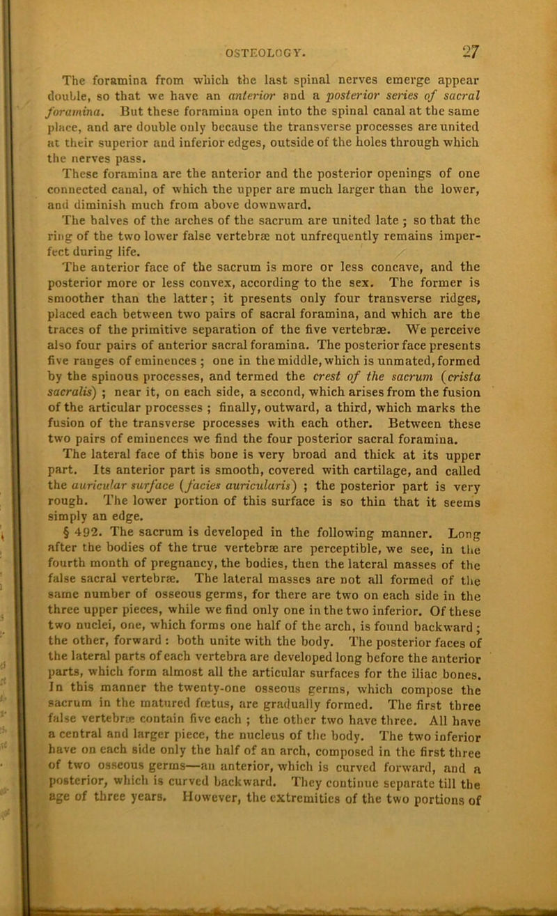 The foramina from which the last spinal nerves emerge appear double, so that we have an anterior and a posterior series of sacral foratnina. But these foraraina open into the spinal canal at the same place, and are double only because the transverse processes are United at their superior and inferior edges, outside of the holcs through which the nerves pass. These foramina are the anterior and the posterior openings of one connected canal, of which the upper are rnuch larger than the lower, and diminish much from above downward. The balves of the arches of the sacrum are United late ; so tbat the ring of the two lower false vertebrse not unfrequently remains imper- fect during life. The anterior face of the sacrum is more or less concave, and the posterior more or less convex, according to the sex. The former is smoother than the latter; it presents only four transverse ridges, placed each between two pairs of sacral foramina, and which are tbe traces of the primitive Separation of the five vertebrae. We perceive also four pairs of anterior sacral foramina. The posterior face presents five ranges of emineuces ; one in the middle, which is unmated, formed by the spinous processes, and termed the crest of the sacrum (crista sacralis) ; near it, on each side, a second, which arisesfrom the fusion of the articular processes ; finally, outward, a third, which marks the fusion of the transverse processes with each other. Between these two pairs of eminences we find the four posterior sacral foramina. The lateral face of this bone is very broad and thick at its upper part. Its anterior part is smooth, covered with cartilage, and called the auricular surface (facies auricularis) ; the posterior part is very rough. The lower portion of this surface is so thin that it seems simply an edge. § 492. The sacrum is developed in the following manner. Long after the bodies of the true vertebrae are perceptible, we see, in the fourth month of pregnancy, the bodies, then the lateral masses of the false sacral vertebrae. The lateral masses are not all formed of the same number of osseous germs, for there are two on each side in the three upper pieces, while we find only one in the two inferior. Of these two nnclei, one, which forms one half of the arch, is found backward ; the other, forward : both unite with the body. The posterior faces of the lateral parts of each vertebra are developed long before the anterior parts, which form almost all the articular surfaces for the iliac bones. In this manner the twenty-one osseous germs, which compose the sacrum in the matured fnetus, are gradually formed. The first three false vertebrie contain five each ; the other two have three. All have a central and larger piece, the nucleus of the body. The two inferior have on each side only the half of an arch, composed in the first three of two osseous germs—an anterior, which is curved forward, and a posterior, which is curvcd backward. Tlicy continue separate tili the age of three years. However, the cxtremitics of the two portions of