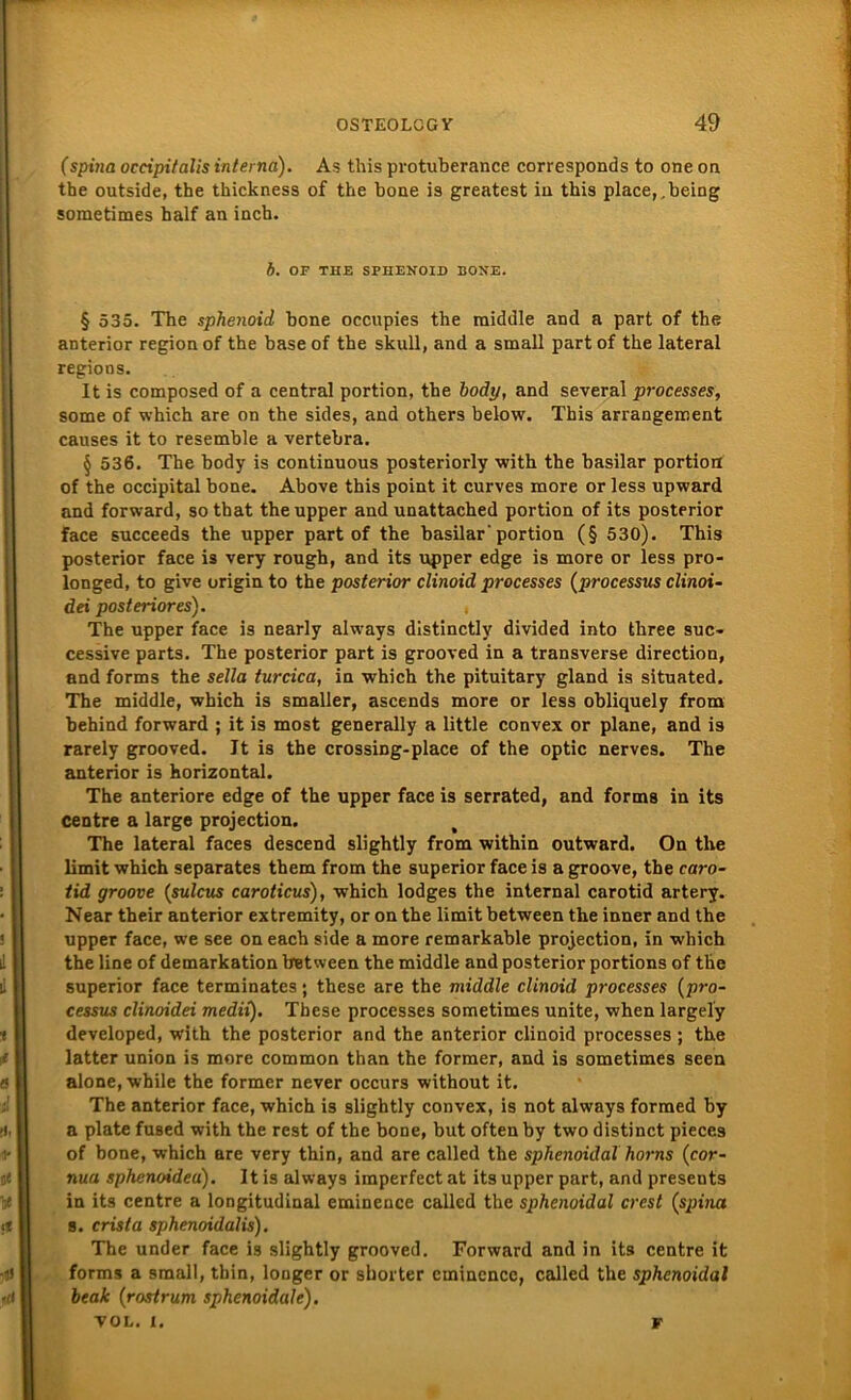 (spina occipitalis interna). As this protuberance corresponds to one oa the outside, the thickness of the boae 19 greatest iu this place,,being sometimes half an inch. b. OF THE SPHENOID BONE. § 535. The sphenoid hone occupies the middle and a part of the anterior region of the base of the skull, and a small part of the lateral regions. It is composed of a central portion, the body, and several processes, some of which are on the sides, and others below. This arrangement causes it to resemble a vertebra. § 536. The body is continuous posteriorly with the basilar portioa of the occipital bone. Above this point it curves more or less upward and forward, sothat the upper and unattached portion of its posterior face succeeds the upper part of the basilar'portion (§ 530). This posterior face is very rough, and its upper edge is more or less pro- longed, to give origin to the posterior clinoid processes (processus clinoi- dei posteriores). , The upper face is nearly always distinctly divided into three suc- cessive parts. The posterior part is grooved in a transverse direction, and forms the sella turcica, in which the pituitary gland is situated. The middle, which is smaller, ascends more or less obliquely from behind forward ; it is most generally a little convex or plane, and is rarely grooved. Jt is the crossiDg-place of the optic nerves. The anterior is horizontal. The anteriore edge of the upper face is serrated, and forms in its Centre a large projection. The lateral faces descend slightly from within outward. On the limit which separates them from the superior face is a groove, the caro- tid groove (sulcus caroticus), which lodges the internal carotid artery. Near their anterior extremity, or on the limit between the inner and the upper face, we see on each side a more remarkable projection, in which the line of demarkation between the middle and posterior portions of the superior face terminates; these are the middle clinoid processes (pro- cessus clinoidei medii). These processes sometimes unite, when largely developed, with the posterior and the anterior clinoid processes ; the Jatter union is more common than the former, and is sometimes seen alone, while the former never occurs without it. The anterior face, which is slightly convex, is not always formed by a plate fused with the rest of the bone, but oftenby two distinct piece3 of bone, which are very thin, and are called the sphenoidal ho7‘ns (cor- nua sphenoidea). It is always imperfect at its upper part, and presents in its centre a longitudinal eminence called the sphenoidal crest (spina s. crista sphenoidalis). The under face is slightly grooved. Forward and in its centre it forms a small, thin, longer or shorter eminence, called the sphenoidal beak (rostrum sphenoidale). VOL. I. F