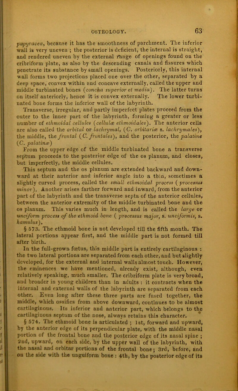 papyracea, because it has the smoothness of parcbment. The inferior wall is very uneven ; the posterior is deficient, the internal is straight, and rendered uneven by the external rtinge of openings found on the cribriform plate, as also by the descending canals and fissures which penetrate its substance by 6mall openings. Posteriorly, this internal wall forms two projections placed one over the other, separated by a deep space, convex within and concave externally, called the upper and middle turbinated bones (concha superior et media). The latter turns on itself anteriorly, hence it is convex externally. The lower turbi- nated bone forms the inferior wall of the labyrinth. Transverse, irregulär, and partly imperfect plates proceed from the outer to the inner part of the labyrinth, forniiDg a greater or less number of ethmoidal cellules (cellulce ethmoidales). The anterior cells are also called the orbital or lachrymal, (C. orbitarice s. lachrymales), the middle, the frontal (C. frontales), and the posterior, the palatine (C. palatince) From the upper edge of the middle turbinated bone a transverse septum proceeds to the posterior edge of the os planum, and closes, but imperfectly, the middle cellules. This septum and the os planum are extended backward and down- ward at their anterior and inferior angle into a tbin, sometimes a slightly curved process, called the small ethmoidal process ( processus minor). Another arises farther forward and inward, from the anterior part of the labyrinth and the transverse septa of the anterior cellules, between the anterior extremity of the middle turbinated bone and the os planum. This varies much in length, and is called the large or unciform process of the ethmoid bone ( processus major, s. unciformis, s. hamulus). § 573. The ethmoid bone is not developed tili the fifth month. The lateral portions appear first, and the middle part is not formed tili after birth. In the full-grown foetus, this middle part is entirely cartilaginous : the two lateral portions are separated from each other, and but slightly developed, for the external and internal walls almost toucli. However, the eminences we have mentioned, already exist, although, even relatively speaking, much smaller. The cribriform plate is verybroad, and broader in young children than in adults : it contracts when the internal and external walls of the labyrinth are separated from each other. Even long after these three parts are fused together, the middle, which ossifies from above downward, continues to be almost cartilaginous. Its inferior and anterior part, which belongs to the cartilaginous septum of the nose, always retains this character. § 574. The ethmoid bone is articulated ; Ist, forward and upward, by the anterior edge of its perpendicular plate, with the middle nasal portion of the frontal bone and the posterior edge of its nasal spine ; 2nd, upward, on each side, by the upper wall of the labyrinth, with the nasal and orbitar portions of the frontal bone; 3rd, before, and on the side with the unguiform bone : 4th, by the posterior edge of its