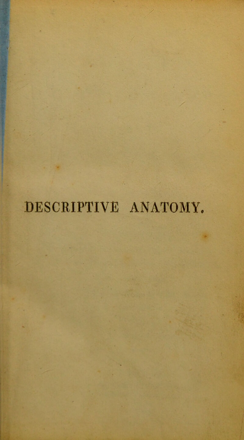 DESCRIPTIVE ANATOMY.