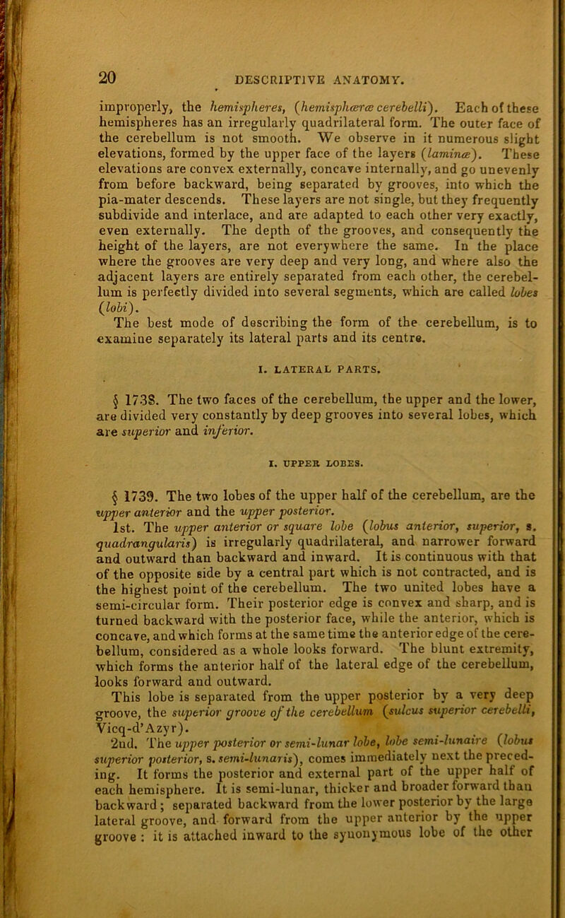 20 DESCRIPTIVE ANATOMY. impvoperly, the kemispheres, {hemüphcera! cerehellV). Eachofthcse hemispheres has an irregularly quadrilateral form. The outer face of the cerebellum is not smooth. We observe in it numerous slight elevations, formed by the upper face of the layerg (lamineg). These elevations are convex externally, concave internally, and go unevenly from before backward, being separated by grooves, into which the pia-mater descends. These layers are not single, but they frequently subdivide and interlace, and are adapted to each other very exactly, even externally. The depth of the grooves, and consequently the height of the layers, are not everywhere the same. In the place where the grooves are very deep and very long, and where also the adjacent layers are entirely separated from each other, the cerebel- lum is perfectly divided into several Segments, which are called lubes (^lohi). The best mode of describing the form of the cerebellum, is to examine separately its lateral parts and its centre. I. LATERAL PARTS. § 173S. The two faces of the cerebellum, the upper and the lower, are divided very constantly by deep grooves into several lobes, which are superior and inferior, I. UPPER LOBES. ; § 1739. The two lobes of the upper half of the cerebellum, are the i upper anterior and the upper posterior. f Ist. The upper anterior or square lobe (^lobus anterior, superior, s. | quadrangularis) is irregularly quadrilateral, and narrower forward i and outward than backward and inward. It is continuous with that 1 of the opposite side by a central part which is not contracted, and is | the highest point of the cerebellum. The two united lobes have a | semi-circular form. Their posterior edge is convex and sharp, and is turned backward with the posterior face, while the anterior, which is J concave, and which forms at the same time the anterior edge of the cere- I bellum, considered as a whole looks forward. The blunt extremity, j which forms the anterior half of the lateral edge of the cerebellum, looks forward and outward. This lobe is separated from the upper posterior by a very deep groove, the superior groove ofthe cerebellum (sulcus superior cerebelli, Vicq-d’Azyr). 2ud. The upper posterior or semi~lunar lobe, lobe semi-lunaire (^lobus superior posterior, s. semi-lunaris'), comes immediately ne.xt the preced- ing. It forms the posterior and external part of the upper half of each hemisphere. It is semi-lunar, thicker and broadcr forward than back ward; separated backward from the lower posterior by the large lateral groove, and forward from the upper anterior by the upper groove : it is attached inward to the syuonymous lobe of the other
