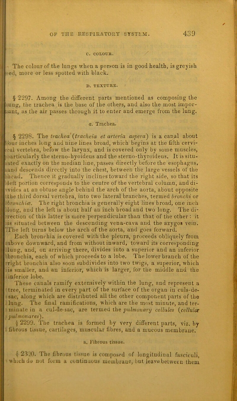 C. COLOÜK. • The colourof the lungs when a person is in good health, is greyish ■ed, more or less sputted with black. D. TEXTTJRE. § 2297. Among the different parts mentioned as composing the ,.uug, the irachea is the base of the others, and also the most impor- -ant, as the air passes through it to enter and emerge frona the lung. a. Trachea. § 2298. The trachea {tracheia et arteria aspera') is a canal about t'our inches long audninelines broad, which begins at the fifth cervi- I •al vertebra, befow the larynx, and is coveved only by soine muscles, aarticularly the sterno-hyoideus and the sterno-thyroideus. It is situ- dited exactly on the median line, passes directly before the esophagiis, laniJ descends directly into the ehest, between the large vessels of the hhead. Thence it graduallv inclines toward the right side, so that its , left portiou correspouds to the ceutre of the vertebral coluinn, and di- •■vides al an obtuse angle behind the arch of the aorta, about opposite tthe third dorsal vertebra, into two lateral branches, termed bronclii or ibronchicE. The right bronchia is generally eight lines broad, one inch Hong, and the left is aboul half au inch broad and two long. The di- rrection of this latter is more perpendicular than that of the other : it tis situated bettveen the descencling vena-cava and the azygos vein. IThe left turns below the arch of the aorta, and goes forward. Each bronchia iscovered with the pleura, proceeds obliquely from »above downward, and from without inward, toward its corresponding llung, and, on arriving there, divides into a superior and an inferior Ibronchia, each of which proceeds to a lobe. The lower branch of the rright bronchia also soon subdivides into two twigs, a superior, which iis smaller, and an inferior, which is larger, for the middle and the . inferior lobe. These canals ramify extensively within the lung, and represent a ttree, terminated in every part of the surface of the organ in culs-de- ' sac, along which are dislributed all the other componeut parts of the lung. The final ramifications, which are the most minute, and ter- iininatein a cul-de-sac, are termed the pwlmonary cellules (^cellulcr ■; pulmonares). § 2299. The trachea is formed by very different parts, viz. by ifibrous tissue, cartilages, muscular fibres, and a mucous membrane. a. Fibrous tissue. k 2310. The fibrous tissue is composrd of longitudinal fasciculi, ' which do not form a continuous membrauc, but leavebotwetn ihem