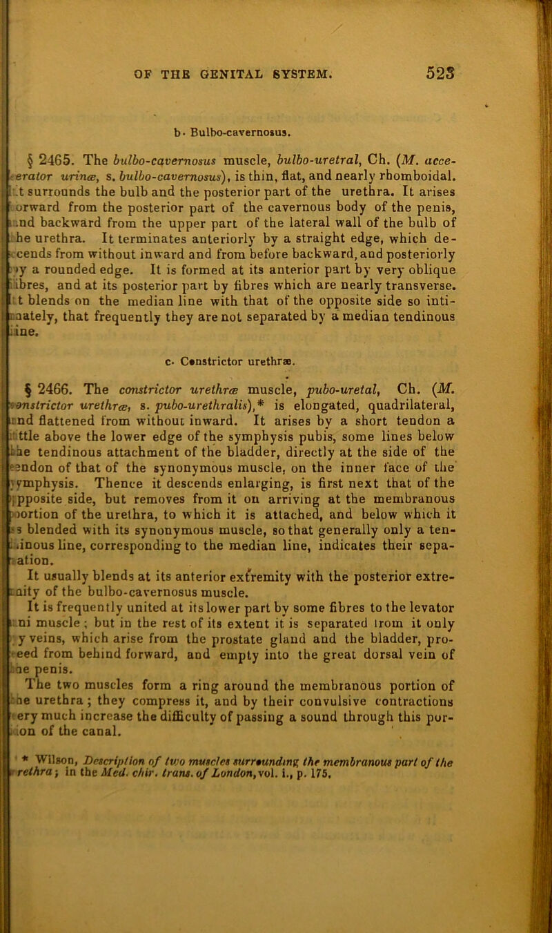 b- Bulbo-cavernosus. § 2465. The bulbo-cavemosus muscle, bulbo-uretral, Ch. (M. acce- cerator urinee, s. bulbo-cavemosus), is thin, flat, and oearly rhomboidal. |;!t surrounds the bulb and the posterior part of the urethra. It arises lorward from the posterior part of the cavernous body of the penis, and backward from the upper part of the lateral wall of the bulb of ihe urethra. It lerminates anteriorly by a straight edge, which de- ccends from without inward and from before backward, and posteriorly ;»y a rounded edge. It is formed at its anterior part by very oblique Libres, and at its posterior part by fibres which are nearly transverse. it blends on the median line with that of the opposite side so inti- Daately, that frequently they are not separated by a median tendinous iine. c- C*nstrictor urethra. § 2466. The comtrictor urethrce muscle, pubo-uretal, Ch. (Jkf. *onstrictor urethrce, s. pubo-urethralis),* is elongated, quadrilateral, nnd flatlened from without inward. It arises by a short tendon a itttle above the lower edge of the symphysis pubis, some lines below biie tendinous attachment of the bladder, directly at the side of the eendon of that of the synonymous muscle, on the inner face of the jymphysis. Thence it descends enlarging, is first next that of the ifpposite side, but removes from it on arriving at the membranous »ortion of the urethra, to which it is atlached, and below which it !3 blended with its synonymous muscle, so that generally only a ten- Liinous line, correspondiug to the median line, indicates their sepa- iation. It uaually blends at its anterior exfremity with the posterior extre- tnity of the bulbo-cavernosus muscle. It is frequently united at its lower part by some fibres to the levator iLni muscle ; but in the rest of its extent it is separated irom it only I y veins, which arise from the prostate glaud and the bladder, pro- reed from behind forward, and empty into the great dorsal vein of bhe penis. The two muscles form a ring around the membranous portion of bhe urethra; they compress it, and by their convulsive contractions tery much increase the difficulty of passing a sound through this por- idon of the canal. ’ * Wilson, Dcscripiion of tvjo muscfet surrtunding thr membranous pari of Ihe treihra-, in the Med. chir. Irans, of London, vo\. i., p. 175.