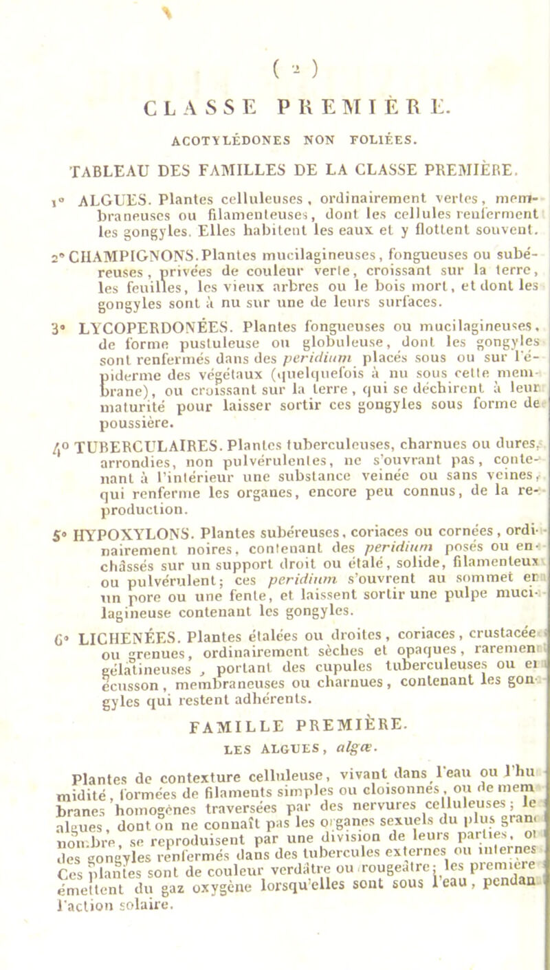 ( ) CLASSE PREMIÈR E. ACOTYLÉDONES NON FOLIÉES. TABLEAU DES FAMILLES DE LA CLASSE PREMIÈRE. i” ALGUES. Plantes celluleuses, ordinairement vertes, mem- braneuses ou filamenteuses, dont les cellules renferment les gongyles. Elles habitent les eaux et y flottent souvent. 2” CHAMPIGNONS.Plantes mucilagineuses, fongueuses ou subé- reuses , privées de couleur verle, croissant sur la terre, les feuilles, les vieux arbres ou le bois mort, et dont les gongyles sont à nu sur une de leurs surfaces. 3« LYCOPERDONÊES. Plantes fongueuses ou mucilagineuses, de forme pustuleuse ou globuleuse, dont les gongyles sont renfermés dans des peridium placés sous ou sur l'é- piderme des végétaux (quelquefois à nu sous cette mem- brane), ou croissant sur la terre, qui se déchirent à leur maturité pour laisser sortir ces gongyles sous forme de poussière. [o TUBERCULAIRES. Plantes tuberculeuses, charnues ou dures, arrondies, non pulvérulentes, ne s’ouvrant pas, conte- nant à l’intérieur une substance veinée ou sans veines, qui renferme les organes, encore peu connus, de la re- production. S» HYPOXYLONS. Plantes subéreuses, coriaces ou cornées, ordi- nairement noires, contenant des peridium posés ou en- châssés sur un support droit ou étalé, solide, filamenteux ou pulvérulent; ces peridium s’ouvrent au sommet et un pore ou une fente, et laissent sortir une pulpe muci- lagineuse contenant les gongyles. C> LICHENÉES. Plantes étalées ou droites, coriaces, crustacée ■ ou grenues, ordinairement sèches et opaques, raremem ; gélatineuses > portant des cupules tuberculeuses ou ei \ écusson , membraneuses ou charnues , contenant les gon gyles qui restent adhérents. FAMILLE PREMIÈRE. LES ALGUES, algœ. Plantes de contexture celluleuse, vivant dans 1 eau ou 1 hu midité , formées de filaments simples ou cloisonnes, ou de niera branes homogènes traversées par des nervures celluleuses ; le algues, dont on ne connaît pas les organes sexuels du plus gran, nombre, se reproduisent par une division de leurs parties, ot des gongyles renfermés dans des tubercules externes ou internes Ces plantes sont de couleur verdâtre ou rougeâtre; les première émettent du gaz oxygène lorsqu elles sont sous 1 eau , pcn n Faction solaire.