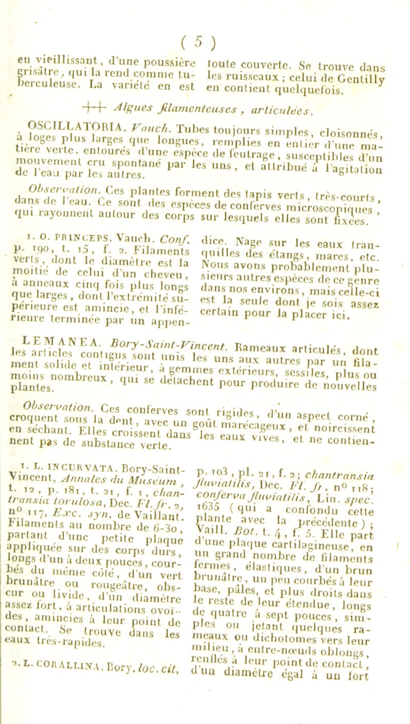 en viP^lissanl, d une p°ussiere toute couverte. Se trouve dans grisâtre, qui la rend comme tu- les ruisseaux ; celui de Genlillv ^ dérouleuse. La variété en est en contient quelquefois. ^ ++ Algues filamenteuses , articulées. ^S'CILI;ATr)|UA- Vanch. Tubes toujours simples, cloisonnes a oges plus larges que longues, remplies en entier dune ma’ tiere verte, entoures d'une espèce de feutrage, susceptibles d’un ncrstcÆr' ■* -• « Observation. ^ plantes forment des tapis verts très-courts dans de I eau. Ce sont des espèces de conferves microsconirmes ’ lui rayonnent autour des corps sur lesquels elles sont fixées. ’ i. O. PRINCEPS. Vaurh. Confi p. iqo, t. ia, f. 2. Filaments verts, dont le diamètre est la moitié' de celui d’un cheveu, a anneaux cinq fois pins longs que larges, dont l’extrémité su- périeure est amincie, et l’infé- rieure terminée par un appen- dice Nage sur les eaux tran- quilles des étangs, mares, etc Nous avons probablement plu- sieurs autres espèces de ce genre dans nos environs, mais celle-ci est la seule dont je sois assez certain pour la placer ici. plantes. 1 détachent pour produire de nouvelles cwntTiïZAnrl*™*. S°n'- ri^’ d’u aspect corné, en séchant. Elles croissentC(il!^|UL marécageux, et noircissent nent pas de subsUncè verte  ““ V'V“’ el ne t. L. incprvata. Bory-Saint- Vincent, Annales du Muséum t- 12 , p. 181, t. 2i, f. r, chan- tran.ua lorulosa, Dec. Fl.fr •> n° 117, Exc. syn. de Vaillant', filaments au nombre de 6'-3o partant d’une petite plaque appliquée sur des corps durs longs d’un à deux pouces, cour- tes du meme côté, d'un vert brunâtre ou rougeâtre, obs- cur ou livide, d’un diamètre assez fort, ;i articulations ovoï- des amincies à leur point de eau!<d<ti ' àe l,rouve dans les eaux lies-rapides. 2. L. CORALLINA. Bory. loc. cil, p. io3 , pl. 21, f. 2; chantransia Jhwiati/is, Dec. Fl. f, . n° 118 • eonferyaJluviatitis, Lin. snec. , J ( (lUl a confondu cette plante avec la précédente ) ; Va.ll. Bot. t. 4, f. 5. Elle part dune plaque cartilagineuse, en un grand nombre de filaments termes, élastiques, d'un brun brunâtre , un peu courbés à leur base, pales et plus droits dans Je leste de leur étendue, longs de quatre à sept pouces, sim- ples ou jetant quelques ra- meaux ou dichotomes vers leur nulieu, à entre-nœuds oblongs, renllcs a leur point de contact, duu diamètre égal à un fort