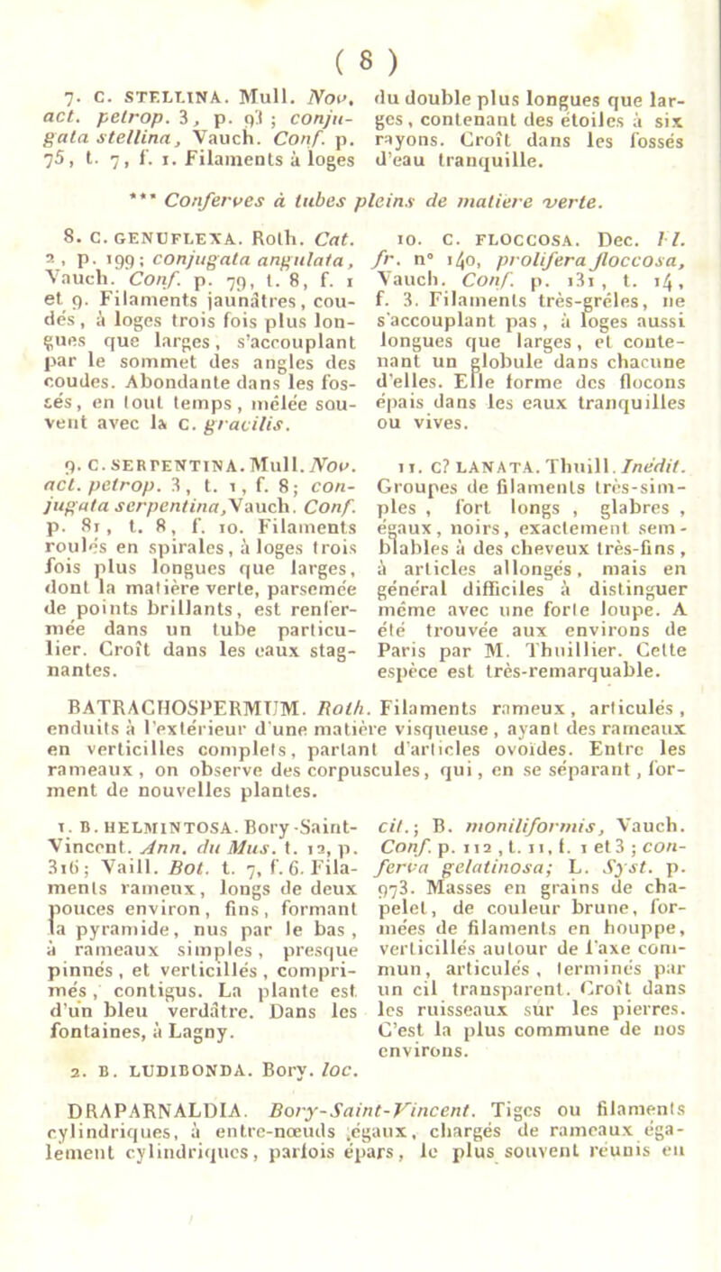 7- c. steluna. Mull. Nom, du double plus longues que lar- act. petrop. 3, p. q3 ; conjn- ges , contenant des étoiles à six gala stellina, Vau ch. Conf. p. rayons. Croît dans les fossés 75, t. 7, f. 1. Filaments à loges d’eau tranquille. **’ Conferves à tubes pleins de matière verte. 8. c. GENUFLEXA. Roth. Cat. a , P- >99; conjugata angulata, Vaucli. Conf. p. 79, t. 8, f. 1 et 9. Filaments jaunâtres , cou- dés , à loges trois fois plus lon- gues que larges, s’accouplant par le sommet des angles des coudes. Abondante dans les fos- sés , en lout temps, mêlée sou- vent avec la c. gravilis. 10. c. floccosa. Dec. VI. fr. n 140, proliféra Jloccosa, Vaucli. Conf. p. i3i , t. 14, f. 3. Filaments très-jgréles, ne s'accouplant pas , à loges aussi longues que larges, et conte- nant un globule dans chacune d’elles. Elle forme des flocons épais dans les eaux tranquilles ou vives. 9. C. SERPENTINA. Mull. Nov. ad. petrop. 3, t. 1, f. 8; con- jugata serpcntina f .nuh. Conf. p. 8r, t. 8, f. 10. Filaments roulés en spirales, à loges trois fois plus longues que larges, dont la matière verte, parsemée de points brillants, est renfer- mée dans un tube particu- lier. Croît dans les eaux stag- nantes. 11. C? LAN ATA. Thuill. Inédit. Groupes de filaments très-sim- ples , fort longs , glabres , égaux, noirs, exactement sem- blables à des cheveux très-fins , à articles allongés, mais en général difficiles à distinguer même avec une forte loupe. A été trouvée aux environs de Paris par M. Thuillier. Celte espèce est très-remarquable. BATRACHOSPERMTTM. Roth. Filaments rameur, articulés, enduits à l’extérieur d'une matière visqueuse, ayant des rameaux en verticilles complets, parlant d’articles ovoides. Entre les rameaux, on observe des corpuscules, qui, en se séparant, for- ment de nouvelles plantes. T. B. HELMINTOSA. Bory-Saint- Vincent. Ann. du Mus. t. 12, p. 3ili; Vaill. Bot. t. 7, f. 6. Fila- ments rameux, longs de deux oouces environ, fins, formant a pyramide, nus par le bas, à rameaux simples, presque pinnés , et verlicillés , compri- més , contigus. La plante est. d’un bleu verdâtre. Dans les fontaines, à Lagny. 2. B. ludibonda. Bory. loc. cil. ; B. moniliformis, Vauch. Conf. p. 112 , t. n, 1. 1 et3 ; con- forma gelatinosa; L. Syst. p. 973. Masses en grains de cha- pelet, de couleur brune, for- mées de filaments en houppe, verlicillés autour de l'axe com- mun, articulés, terminés par un cil transparent. Croît dans les ruisseaux sur les pierres. C’est la plus commune de nos environs. DRAPARNALDIA. Bory-Saint-Vincent. Tiges ou filaments cylindriques, à entre-nœuds .égaux, chargés de rameaux éga- lement cylindriques, parfois épars, le plus souvent réunis eu