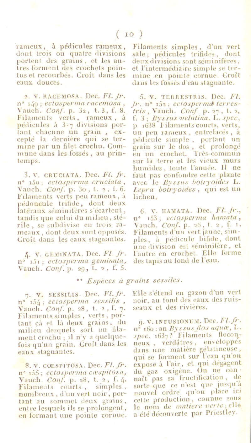 ( 10 ) laineux, à pédicules rameux, dont trois ou (|uatre divisions portent des grains . et les au- tres forment des crochets poin- tus et recourbés. Croit dans les eaux douces. Filaments simples, d'un vert sale; pédicules trifides, dont deux divisions sont séminifères, et l’intermédiaire simple se ter- mine en pointe cornue. Croît dans les fossés d eau stagnante. a. V. RACEMOSA. Dec. Fl. Jr. n* 149 ; ectosperma racemosa , Vauch. ConJ. p. 3a, t. 3, 1. 8. Filaments verts, rameux , à pédicules à 3-7 divisions por- tant chacune un grain , ex- cepté la dernière qui se ter- mine par un filet crochu. Com- mune dans les fossés , au prin- temps. 3. V. cruciata. Dec. Fl. fr. n” iSo; ectosperma cruciata, Vauch. ConJ. p. 3o, t. a, 1. 6. Filaments verts peu rameux, à pédoncule trifide, dont deux latéraux séminifères s'écartent, tandis que celui du milieu , sté- rile , se subdivise en trois ra- meaux , dont deux sont opposés. Croit dans les eaux stagnantes. 4. v. gemiNATA. Dec. Fl fr. n” 151 ; ectosperma geminata, Vauch. ConJ'. p. 29, t. 2 , f. 5. ** Especes à 7. v. SESSIL1S Dec. Fl.fr. n” i54 ; ectosperma sessi/is , Vauch. Conf. p. 28, t. 2 , f. 7. Filaments simples , verts, por- tant ça et là deux grains, du milieu desquels sort un fila- ment crochu ; il n'v a quelque- fois qu’un grain. Croit dans les eaux stagnantes. 8. v. cqespitosa. Dec.Fl.fr. n* i55; ectosperma ccvspitosa, Vauch Conf. p. 28, t. 2 , f. 4. Filaments courts , simples , nombreux , d’un vert noir, por- tant au sommet deux grains, enlre lesquels ils se prolongent, en formant une poiule cornue. 5. V. TERRESTR1S. Dec. Fl. Jr. 11” i32 ; eclospermct terres- tris , Vauch. Conf p. 27 , t. 2, f. 3 ; Ryssus velutina. L. spcc, p i638 Filaments courts, verts, un peu rameux, entrelacés, à pédicule simple , portant un grain sur le dos , et prolongé en un crochet. Très-commun sur la terre et les vieux murs humides, toute l’année. Il ne faut pas confondre cette plante avec le Byssus botryoides L. Lepra ùoiryoides, qui est un lichen, 6. v. hamata. Dec. Fl. Jr., il” 153 ; ectosperma hamata, Vauch. Conf. p. 26, t. 2, f. 1. Filaments d’un vert jaune, sim- ples, à pédicule bifide, dont une division est séminilère , et l’autre en crochet. Elle forme des tapis au iond de l’eau. Tains sessiles. Elle s’étend en gazon d’un vert noir, au fond des eaux des ruis- seaux et des rivières. 9. v. 1NFUS1ONUM. Dec. Fl.fr. n” 160 : an Ryssus /los aquœ, L. spcc. iG37? Filaments flocon- neux , verdâtres , enveloppes dans une matière gélatineuse, qui se forment sur l’eau qu on expose à l'air, et qui dégagent du gaz oxigène. On ne cou • naît pas sa fructification, de sorte que ce n’est que jusqu a nouvel ordre qu'on place ici cette production, connue sous le nom de matière nerte ; elle a été découverte par Priestley.