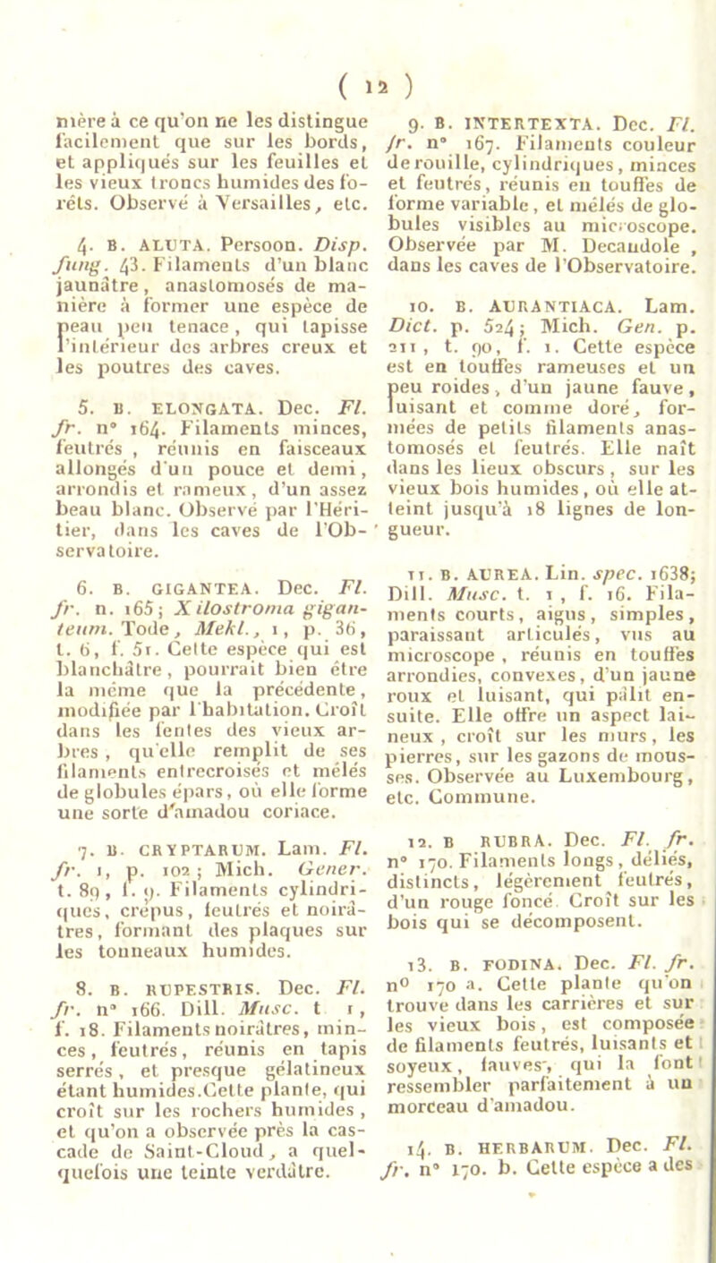 ( >2 ) mère à ce qu'on ne les distingue facilement que sur les bords, et appliqués sur les feuilles et les vieux troncs humides des fo- rêts. Observé à Versailles, etc. 4- B. aluta. Persoon. Disp, fung. 43. Filaments d’un blanc jaunâtre , anastomosés de ma- nière à former une espèce de peau peu tenace, qui Lapisse l’intérieur des arbres creux et les poutres des caves. 5. b. elongata. Dec. Fl. fr. ii* 164. Filaments minces, feutrés , réunis en faisceaux allongés d'un pouce et demi, arrondis et rameur, d’un assez beau blanc. Observé par l’Héri- tier, dans les caves de l’Ob- servatoire. 6. B. GIGANTEA. Dec. Fl. fr. n. i65; Xilostroma gigan- teum. Tode, Mekl., 1, p. 36, l. 6, f. 5i. Celte espèce qui est blanchâtre, pourrait bien être la même que la précédente, modifiée par l’habitation. Croît dans les feules des vieux ar- bres , quelle remplit de ses filaments enlrecroisés et mélés de globules épars, où elle forme une sorte d'amadou coriace. 7. b. crïptarum. Lam. Fl. fr. 1, p. 102; Mich. Gener. t. 89, f. n. Filaments cylindri- ques, crépus, leulrés et noirâ- tres , formant des plaques sur les tonneaux humides. 8. b. repestris. Dec. Fl. fr. n’ 166. Dill. Musc, t 1, f. 18. Filaments noirâtres, min- ces, feutrés, réunis en tapis serrés, et presque gélatineux étant humides.Cette planle, qui croît sur les rochers humides , et qu’011 a observée près la cas- cade de Saint-Cloud, a quel- quefois une teinte verdâtre. 9. B. INTERTEXTA. Dec. Fl. /r. n” 167. Filaments couleur de rouille, cylindriques , minces et feutrés, réunis en touffes de forme variable, et mélés de glo- bules visibles au microscope. Observée par M. Decaudole , dans les caves de l’Observatoire. 10. b. AURAntiaca. Lam. Dict. p. 524; Mich. Gen. p. 211 , t. 90, f. 1. Cette espèce est en touffes rameuses et un peu roides , d’un jaune fauve , luisant et comme doré, for- mées de petits filaments anas- tomosés et feutrés. Elle naît dans les lieux obscurs, sur les vieux bois humides, où elle at- teint jusqu’à 18 lignes de lon- gueur. ti. B. AUREA. Lin. spec. i638; Dill. Musc. t. 1 , f. 16. Fila- ments courts , aigus , simples , paraissant articulés, vus au microscope , réunis en touffes arrondies, convexes, d’un jaune roux et luisant, qui pâlit en- suite. Elle offre un aspect lai- neux , croît sur les murs, les pierres, sur les gazons de mous- ses. Observée au Luxembourg, etc. Commune. 12. b rubrA. Dec. Fl. fr. n° 170. Filaments longs , déliés, distincts, légèrement feutrés, d’un rouge foncé Croît sur les bois qui se décomposent. iî. B. FODiNA* Dec. Fl. fr. n° 170 a. Cette plante qu'on trouve dans les carrières et sur les vieux bois, est composée de filaments feutrés, luisants et soyeux, fauves, qui la font ' ressembler parfaitement à un morceau d'amadou. 14. b. herbabum. Dec. Fl. fr. n’ 170. b. Cette espèce a des