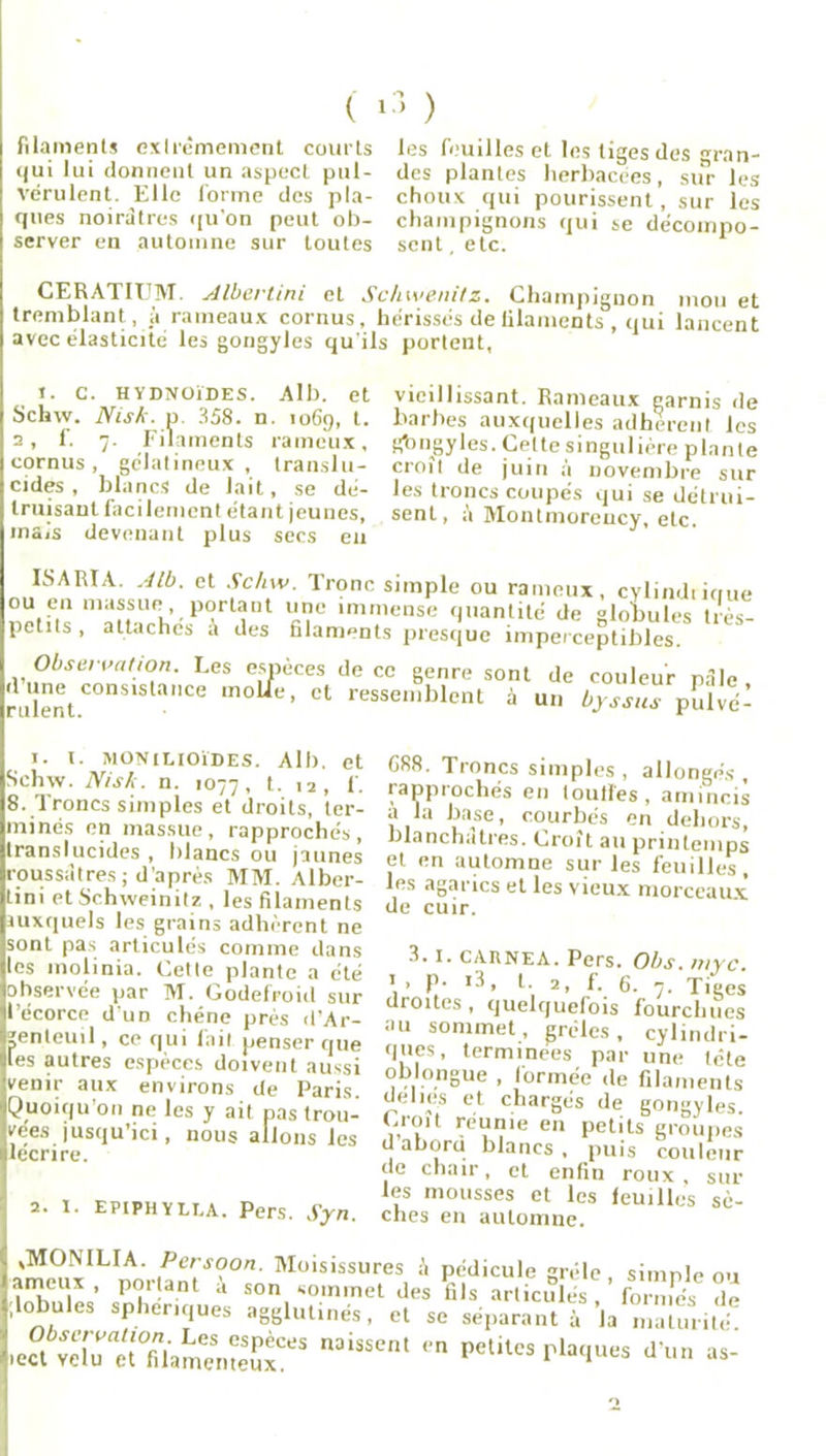 filaments extrêmement courts <|ui lui donnent un aspecL pul- vérulent. Elle forme des pla- ques noirâtres qu'on peut ob- server en automne sur toutes les feuilles et les tiges des gran- des plantes herbacées, sur les choux qui pourissent, sur les champignons qui se décompo- sent , etc. CERATITJM. Albertini et Schwenitz. Champignon mon et tremblant, à rameaux cornus, hérissés de filaments , qui lancent avec élasticité les gongyles qu'ils portent, t. C. HYDNOÏDES. Alb. et Schw. Nish. p 358. n. 1069, l- 2, f. 7. Filaments rameux, cornus, gélatineux, translu- cides, blancs de lait, se dé- truisant facilement étant jeunes, mais devenant plus secs eu vieillissant. Rameaux garnis de barbes auxquelles adhèrent les gbngyles. Cette singulière plante croit de juin à novembre sur les troncs coupés qui se détrui- sent, h Montmorency, etc. ISARTA. Alb. et Schw. Tronc simple ou rameux, cylindrique ou en massue portant une immense quantité de globules très- petits , attaches à des filaments presque imperceptibles. Observation. Les espèces de ce genre sont de couleur pâle riüenntCOn aCe ’ Ct ressenlbl^t à un byssus pCïvé- I. t. MONILtOÏDES. Alb. et Schw. Nisk. n. 1077, t. 12, f. 8. Troncs simples et droits, ter- minés en massue, rapprochés, translucides , blancs ou jaunes roussâtres ; d'après MM. Alber- tini et Schweinitz , les filaments auxquels les grains adhèrent ne sont pas articulés comme dans les inolinia. Cette plante a été observée par M. Godefroid sur l’écorce d'un chêne près d’Ar- ïenteuil, ce qui fait penser que les autres espèces doivent aussi venir aux environs de Paris. Quoiqu'on ne les y ait pas trou- vées jusqu’ici, nous allons les lecrire. 2. I. epiphyli.a. Pers. Syn. G88. Troncs simples , allongés, rapprochés en toutles, amincis a la base, courbés en dehors, blanchâtres. Croit au printemps et en automne sur les feuilles, les agarics et les vieux morceaux de cuir. 8.1. CARNEA. Pers. Obs. nivc. > . p. i3, t. 2, f. 6. 7. Tiges droites, quelquefois fourchues au sommet, grêles, cylindri- ques, terminées par une tête oblongue , formée de filaments del.es et chargés de gongyles. Croit reunie en petits groupes d abord blancs , puis couleur de chair, et enfin roux, sur les mousses et les feuilles sè- ches en automne. (MONILIA. Persoon. Moisissures à pédicule grêle simule 0.1 ameux , portant a son sommet des fils articulés formes de ;lobules sphenques agglutinés, et se séparant à la n.aîurité ect vXaet'0filamemeSÈeS naisSen‘ n petites roques d'un as-