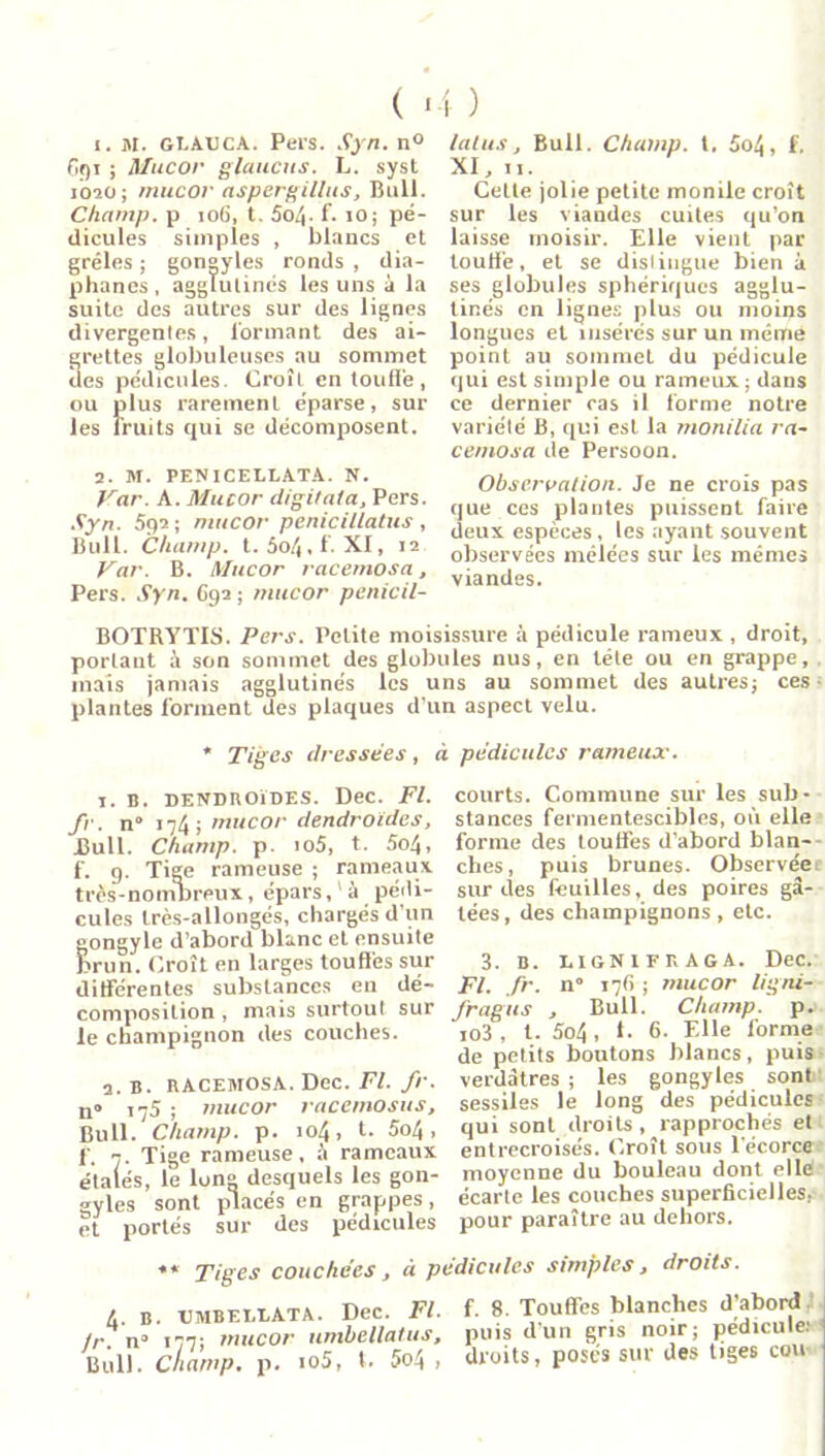 1. M. geauca. Pers. Syn. n° Cgi ; Mucor glaucus. L. syst 1020 ; mucor aspergillus. Bull. Champ, p 10G, t. 5o/|. f. 10; pé- dicules simples , blancs et grêles ; gongyles ronds , dia- phanes , agglutinés les uns à la suite des autres sur des lignes divergentes, Tonnant des ai- rettes globuleuses au sommet es pédicules. Croît en touffe, ou plus rarement éparse, sur les fruits qui se décomposent. 2. M. PENICELLAT.A. N. Var. A. Mucor digitata, Pers. Syn. 592; mucor penicHiatus, Bull. Champ, t. 5o/(, f. XI, 12 Var. B. Mucor racemosa, Pers. Syn. 692 ; mucor penicil- latu.i, Bull. Champ, t, 5o4, f. XI, 11. Cette jolie petite monile croît sur les viandes cuites qu’on laisse moisir. Elle vient par touti'e, et se distingue bien à ses globules sphériques agglu- tinés on lignes plus ou moins longues et insérés sur un même point au sommet du pédicule qui est simple ou ramera ; dans ce dernier ras il forme notre variété B, qui est la monilia ra- cemosa de Persoon. Observation. Je ne crois pas que ces plantes puissent faire deux espèces , les ayant souvent observées mêlées sur les mêmes viandes. BOTRYTIS. Pers. Petite moisissure à pédicule rameux, droit, portant à son sommet des globules nus, en tête ou en grappe, mais jamais agglutinés les uns au sommet des autres; ces plantes forment des plaques d’un aspect velu. * Tiges dressées, à pédicules rameux. I. B. DENDROÏDES. Dec. Fl. fir. n° 174; mucor dendroides, Bull. Champ, p. >o5, t. 5o4, f. g. Tige rameuse ; rameaux très-nombreux, épars, à pédi- cules très-allongés, chargés d’un gongyle d’abord blanc et ensuite brun. Croît en larges touffes sur différentes substances en dé- composition , mais surtout sur le champignon des couches. a. B. racemosa. Dec. Fl. fr. n° 175 ; mucor racemosus, Bull. Champ, p. 104, t. 5o4, f. 7. Tige rameuse, à rameaux étalés, le long desquels les gon- gyles sont placés en grappes, et portés sur des pédicules courts. Commune sur les sub- stances fermentescibles, où elle forme des touffes d’abord blan- ches, puis brunes. Observée sur des feuilles, des poires gâ- tées, des champignons , etc. 3. B. EIGNIFKAGA. Dec. Fl. fr. n° 176 ; mucor ligni- fragus , Bull. Champ, p. io3 , t. 5o4 , i. 6. Elle forme de petits boutons blancs, puis verdâtres ; les gongyles sont sessiles le long des pédicules qui sont droits, rapprochés et entrecroisés. Croît sous l’écorce moyenne du bouleau dont ellé écarte les couches superficielles, pour paraître au dehors. * * Tiges couchées, à pédicules simples, droits. 4. B. XJMBEI.LATA. Dec. Fl. fr. n3 177; mucor umbellatus. Bull, champ, p. io5, 1. 5o4 , f. 8. Touffes blanches d]abord puis d’un gris noir; pédicule: droits, posés sur des tiges cou