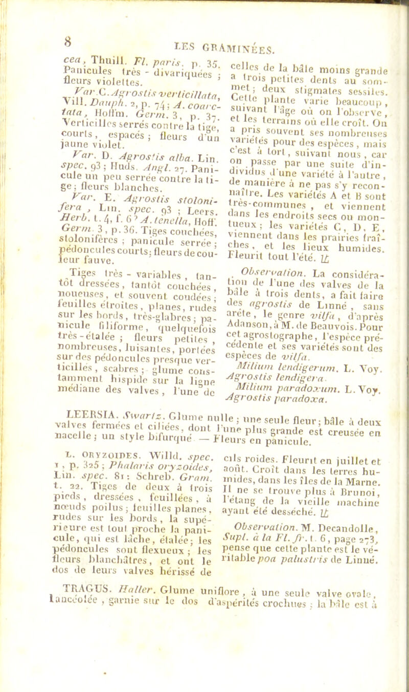 cea, Tluiill. Tl, paris, n, 35. Patiicules très - clivariquees • llcurs violeltes. ’ • yJ^’ Oslis 'verlicillata, p. -,!^ -,A.coarc- tata, Hofim. Gcrin.l,, p 3-. Vcrlicillps serrés contre la ti»é’ courts, espacés; fleurs duiî jaune violet. yar. D. Agros'is atha. Lin spec. 93 ; IIucls. Angl. 27. Pani- cule un peu serrée contre la ti- ge; fleurs blanches. yar. E. Agroslis stoloni- U ; Leers. ^erb. l. 4, f. f, icnctla, Hoff. couchées, slofonifercs ; panicule serrée- pédoncu les courts; fleurs de cou- leur fauve. celles de la bâle moins grande a trois pctiles dents au som- met; deux stigmates sessik-s. c.elie plante varie beaucoup, suivant l àge où on l'observe , et les terrains où elle croît. On a pris souvent ses nombreuses vai lelés pour des espèces , mais c est a tort, suivant nous , car on passe par une suite d'in- dividus d une variété à l’autre , de manière à ne pas s'y recon- iiaitre. Les variétés A et U sont ties-couiinune.s , et viennent dans les endroits secs ou nion- tueux; les variétés C, 1), E, viennent dans les prairies (raî- ches . et les lieux humides, f leurit tout l’été. H Tiges très - variables , tan- tôt dressées, tantôt couchées, iioueiises, et souvent coudées; feuilles étroites, planes, rudes sur les bords, très-glabres ; pa- Tiicule filiforme, (luelriuefois Ires-etalée; fleurs petites nombreuses, luisantes, portées sur des pédoncules presque ver- ticilles, scabres ; glume cons- tamment hispide sur la li“ne médiane des valves , l'une^de . Obserualion. La considéra- tion de l'une des valves de la baie a Irois dents, a fait faire des agroslis de Linné , sans arete , le genre -vHfa , d'après Adanson,à M. de Beauvois. Pour cet agroslographe, l’espèce pre- cedente et scs variétés sont des espèces de vilfa. Milium lendigerum. L. A'oy. Agrostis lenciigcra Milium paradoxum. L.Voy. ■Agrostis paradoxa. LEERSIA. .^warlp Glume nulle ; une seule fleur ■ bdle -’i deiiv naceÏÏerunTtyle b'Àmqûe^!!! îd'èrirs^én^^^^^^^^^^ L. onyzüiPES. Willd. spcc. T . p. ilaS ; Phalnris oryzoides. Lin. spec. 81: Schreb. Gram. t. aa. Tiges de deux à Irois pieds, dressées, feuillées , à nœuds poilus; leuilles planes . rudes sur les bords , la supé- rieure est toul proche la pani- cule, ipii est lâche, étalée; les pédoncules sont flexueiix ; les Heurs blanchâtres, et ont le dos de leurs valves hérissé de cils roides. Fleurit en juillet et août. Croît dans les terres hu- mides, dans les îles de la Marne. Il ne se trouve plus à Brunoi, 1 etang^ de la vieille machine ayant été desséché. H, Obserualion.VS. Dccandolle, Supi. à la Fl. fr. 16, page 27?, pense que cette plante est le vé- ritable pon paluslris At Linué. TRAGUS. Haller. Glume u ni flore , a une seule valve ovale, lauccolee , garnie sur le dos d aspérités crochues : la HIe est à