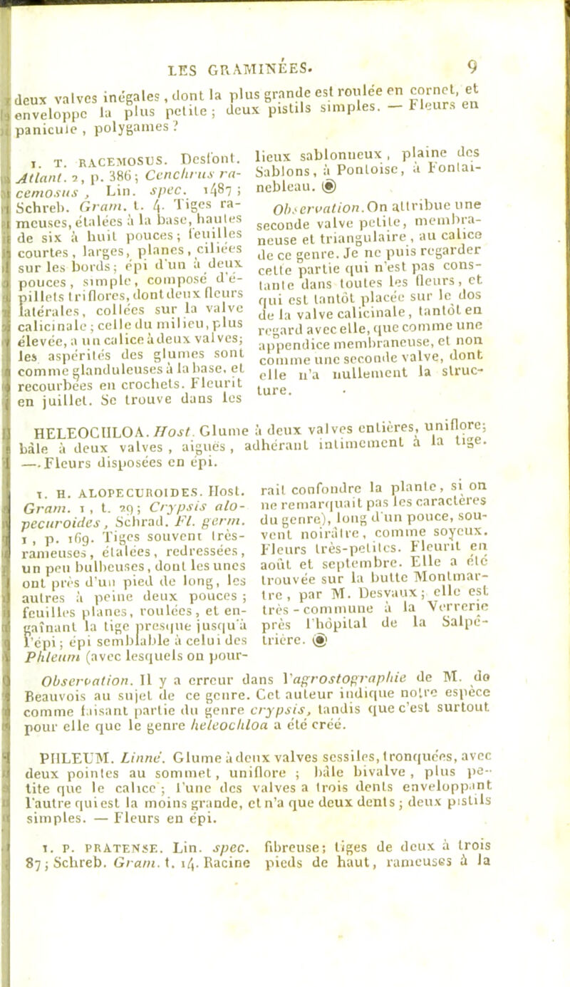 ' deux valves inégales, dont la »envelo}ipc la plus petite; panicuic , polygames.' plus grande est roulée en cornet, et deux pistils simples. — Fleurs en I T. R.VCEMOSPS. Dcslbllt. ! AtiaiU.-i, p. 386; Ccnchrus ra- I cemosus , Lin. spcc. ! I Schrel). Gram. t. l^. Tiges ra- I meuses, étalées a la base, hautes I de six à huit pouces; leuilles .i? courlf*s , larges, planes , cillees il sur les bords; épi d un a deux 1 pouces, .simple, composé d é- I pillets triflores.dontdcux fleurs ■•f latérales, collées sur la valve calicinale ; celle du mil ieu, plus I élevée, a un calice à deux valves; : les aspérités des glumes sont t comme glanduleuses à la base, et I recourbees en crochets. Fleurit t en juillet. Se trouve dans les lieux sablonneux , plaine des Sablons, à Pontoise, à Fontai- nebleau. (â) Oh.'création.On attribue une seconde valve petite, mcmbr.i- neuse et triangulaire , au calico de ce genre. Je ne puis regarder cette partie qui n'est pas cons- tante dans toutes les Heurs, et qui est tantôt placée sur le dos de la valve calicinale, tantôt en regard avec elle, que comme une appendice membraneuse, et non comme une seconde valve, dont elle n’a nullement la struc- ture. il HELEOCllLOA. I/ost. Glume ii deux valves entières, uniflorc; ï hàle à deux valves , aiguës , adhérant intimement à la lige. I —Fleurs disposées en épi. IT. H. ALOPECUnolDE.S. Ilost. Gram, i, l. nq ; Crypsis alo- pecuroides, Schrad. J'I. germ. I , p. ifîg. Tiges souvent très- rameuses, étalées, redressées, un peu bulbeuses, dont les unes I ont près d’un pied de long, les il autres à peine deux pouces ; !| feuilles planes, roulées, et en- a] gainant la lige oresipie jusqu à J l'épi ; épi semblable à celui des tj Phleiim (avec lesquels on pour- rait confondre la plante, si on ne reniart|uait pas les caracteies du genre), long d un pouce, sou- vent noirillre, comme soyeux. Fleurs Irès-petilcs. Fleurit en août et septembre. Elle a clé trouvée sur la butte Montmar- tre , par M. Desyaux; elle est très-commune à la 'Verrerie près l'hôpital de la Salpé- trière. (§) I] Obseroation. Il y a erreur dans Vagrostographie de M. do 1 Beauvois au sujet de ce genre. Cet auteur indique notre espece 1 comme 1.lisant partie du genre crypsis, tandis que c’est surtout 1' pour elle que le genre heleocliloa a été créé. H PIILEL'M. Linnc. Glume àdenx valves scssiles,tronquées, avec >1 deux pointes au sommet, uniflnre ; hàle bivalve, plus jie- tite que le calice ; l'une des valves a trois dents enveloppant O Fautrequiesl la moins grande, cl n’a que deux dents ; deux pistils •1 simples. — Fleurs en épi. 1 1. p. PRATENïE. Lin. spec. fibreuse; liges de deux à trois 87 ; Schreb. Gram. t. i/|. Racine pieds de haut, rameuses à la