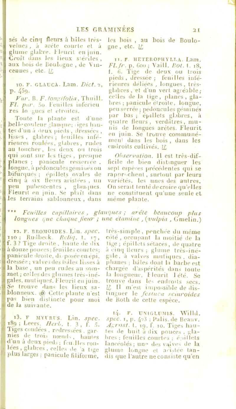 ses de cinq fletirs à bàlcs livs- vcliics, à arête courte et à gluiiie glabre, l letiril cii juin. <Jruîl dan.s les lieux slênles , aux lioi.s de iSoulogue , de Vui- ceuues , etc. [/; lo. F. gladcA. Lam. Vict. i, p. 459. ViiJ'. R. F. /on:nTolin, Tliuill. Fl. par. .‘lu l'euilles iiiferieu re.s lo gués cl cl rodes. Toute l,a plante est d'une bellocoulciirglampie; iges hau- tes d'un à deux pieds , dressées , li.'-si's , glabres ; feuilles infé- rieures roulée.s, glabres , rudes au loucher, les d(Uix ou (rois qui soni sui- b s liges , pres((ue Ïlianes ; p.anicule ressenée . ongue, à pédoncules geiuiués ou bifurques ; épillets nsales de cini| à .six fleurs arisiées , 1111 }ieu pubescenles , glau.|ues. i’ieuril en |uin. .Se plafi dans les terrains sablonneux , dans les bois , au bois de Boulo- gne , etc. ü II. F HETEROPHYLT.A. Lain. Fl.fr. p. (ino ; Vaill. flot. I. 18, f. fi. Tige de deux ou trois pieds, dressée; feuilles infé- rieures déliées, longues, très- glabres, et d'un verl agréable; celles de la lige, planes, gla- bres; panicule éiroile, longue, peu serrée; pedourules géminés |iar bas ; ' épillols pl.dires, à quatre Heurs, verdâtres, mu- nis de longues arêtes. Fleurit eu juin. Se Irouve cominuné- nienl dans les bois , dans les cndroils cultivés. \f Ohserralion. 11 est très-dif- ficile de bien distinguer les sept espères précédentes qui se rapnroclient, surtout par leurs variétés, les unes des autres. On serait tenté decroire qu’elles ne constituent qu'une seule et même plante. ’** Feuilles capillaires, glauques ; arête beaucoup plus longues que chaque J leur ; une êlaïuiue , {vulpia , Gmelin.) 12. F. lîRouoiDES. Lin. spec. 110; Rudbei k Hcliq. I. , f. 3 ? Tige droite . haute de dix à douze pouces: feuille.s courtes; panicule droi le, d 1 posée eu épi, dressée; valves des billes lisses à la base , un peu rudes au soin- met ; ce! les des g In mes I rés-i né- gales, niiiliqucs. Fleurit en juin. Se Irouve dans les lieu.x sa- blonneux. 1^ Celle plante n'est pas bien distincte pour moi de la suivante. 13. F MYVRfs. Lin. spec. 189; Leers. fierb. t 3, f. Ù. Tiges coudées , redressées , gar- nies de Irni.s iirruiU, hautes d'un à deux pieds; f u. 1 les rou- lées , glabres , celles de a tige I plus larges ; panicule filiforme. I rès-siniple , penchée du même cillé, occupant la moitié de la lige; é|)i I Iris sétaces , île quatre à eiii(| Heurs ; glume très-iné- gale, ,'i valves miiliques. dia- phanes ; billes iloni la barbe est chargée d'aspérités dans toute la longueur. Heiiril 1 été. Se Irouve dans Un endroits .socs. It, Il m'est inipo-isible de dis- tinguer le festura snuroides de Roth de cette es|)èce. i4- F. UNlGLiiaiis. Wllld. spec. I, p. 4'r3 ; Palis, de Reaiiv. Àqrost. 1. ip. f. 10. Tiges hau- tes de huit a dix pouces , gla- bres : feuilles courtes ; é.iillets lancéolés; un des virlves de la glume longue et midée tan- dis que l'autre ne consiste qu'en