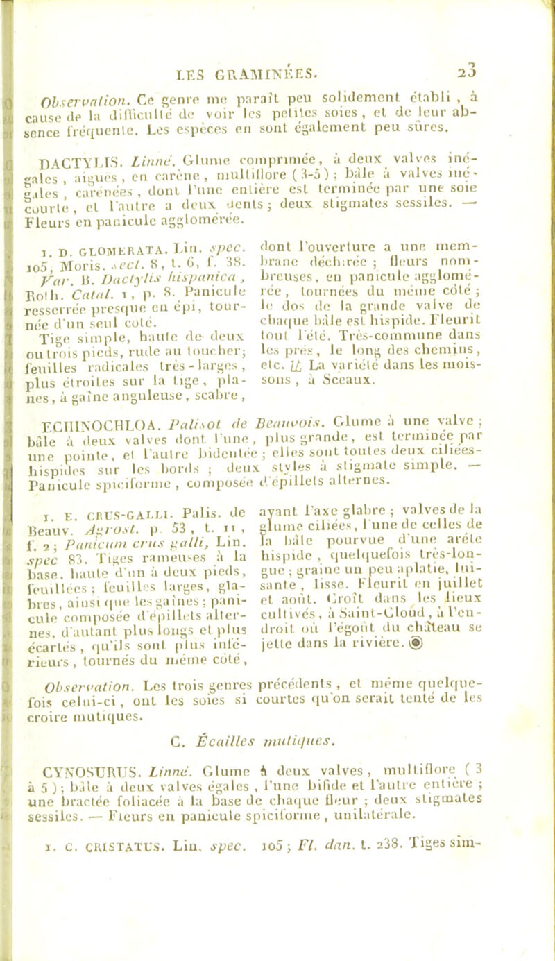 Oh<:eyvniion, Ce genie mu pnraît peu soIiJcmcnl établi , à cause tle la JilVicuU'é du voir les petilcs soies, et do leur ab- sence Irécfuenle. Les espèces en sont égaleiuent peu sûres. DACTYLES. Ainné. Glume comprimée, à deux valves iné- «alcs aiuue.s , en carène, muUillore ( 3-5 ) ; bàle à valves inc- .lies’ carénées , dont l'une enlicre est terminée par une soie courte, et Taulre a deux dents; deux stigmates scssiles. — Fleurs eu panicule agglomérée. 1, D. GLOMKRATA. Lin. spCC. io5, Moris. -sccl. 8, l. (i, 1. 38. Var li. Dactylis /tispanica , Bolli. Calii/. 1, p. S. Panicule resserrée presque eu éiii, tour- née d'un seul coté. Tige simple, haute de deux oulrois pieds, rude au loiicher; feuilles radicales très-larges, plus étroites sur la lige, pla- nes , à gaine anguleuse , scabre , ECIllNOCHLOA. Pali.sot de Betiiwoif. Glumo à une valve; bàle à deux valves dont lune, iilus grande, esl terminée _par une pointe, el l'autre bidcnlée ; elles sont toutes deux cilices- hispides sur les bords ; deu.x styles à sliguiate simple. Panicule s])iciloriue , composée d épiUets alternes. , E cni’.s-GALLl. Palis, de ayant l'axe glabre ; valves de la Beauv ' p 53, l. n, gltime ciliées, I une de celles de f. , ■ Ptiniciim crus pain. Lin. la bàle pourvue d une arete .spcc 83. Tiges rameuses à la bispide , quelquefois Ires-lon- iiase haute d'un à deux pieds, guc ; graine un peu aplatie, lui- l'euillécs; feuilles larges, gla- sanie, lisse, l-'leuril en juillet lues , ainsi que les gaines ; pani- el août. Gioil dans les lieux cille composée il epilbds aller- cullivés, a Saiiil-Gloûd , à l eii- nes, d'autant plus longs elplus droit où l'égoùt, du château se écartés, qu'ils sont plus iiilé- jette dans la rivière, i® rieurs , tournés du même ciilé , Observation. Los trois genres précédents , et même quelque- fois celui-ci, ont les soies si courtes iiu'on serait tenté de les croire niuliques. G. Écailles niulitjiics. I CYNOSGRTÎS. Ainné. Gluine fl deux valves, miiltillore (3 I à 5 ) ; ii.Ue à deux valves égales , l’une bifide el l'autre entière ; f une bractée foliacée à la base do chaque Heur ; deux stigmates ^ sessilcs. — Fleurs en panicule spiciloriue, unilatérale. .» J. c. CRISTATU.s. Lin, spec. io5; Fl. dan. l. a38. Tiges siiii- dont l'ouverture a une mem- brane déchirée ; fleurs nom- breuses, en panicule agglomé- rée , tournées du même coté ; le dos do la grande valve de chaque bàle est hi.spide. Fleurit tout lélé. Très-commune dans les prés, le long des chemins, etc. IA La variole dans les mois- sons , à Sceaux. l